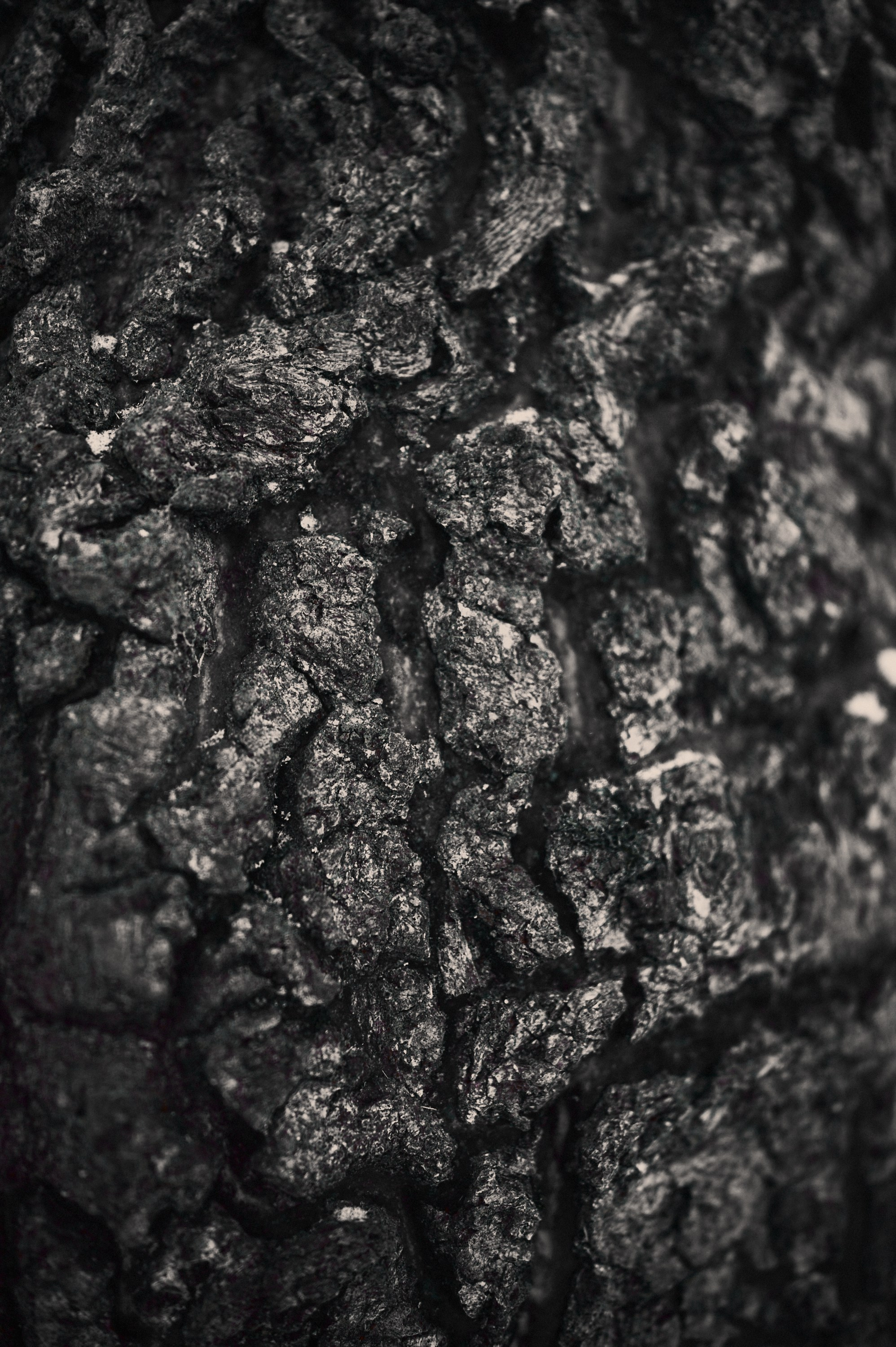 Фотопоказ «Каркас». Коммерческий фотограф в Казани Ксения Добролюбова