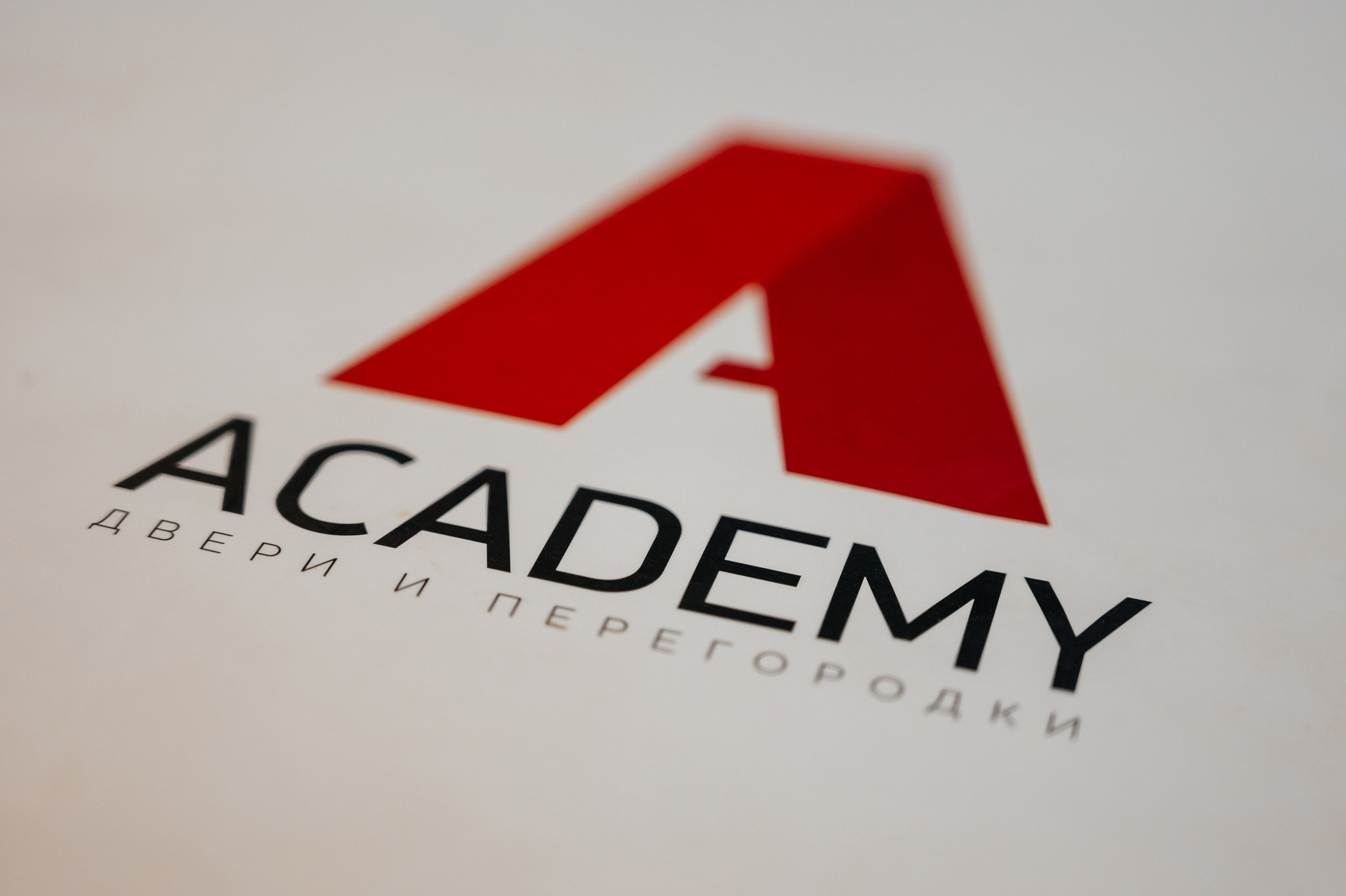Выступление дизайнера в Academy. Свадебный и семейный фотограф из Санкт-Петербурга Климов Анатолий
