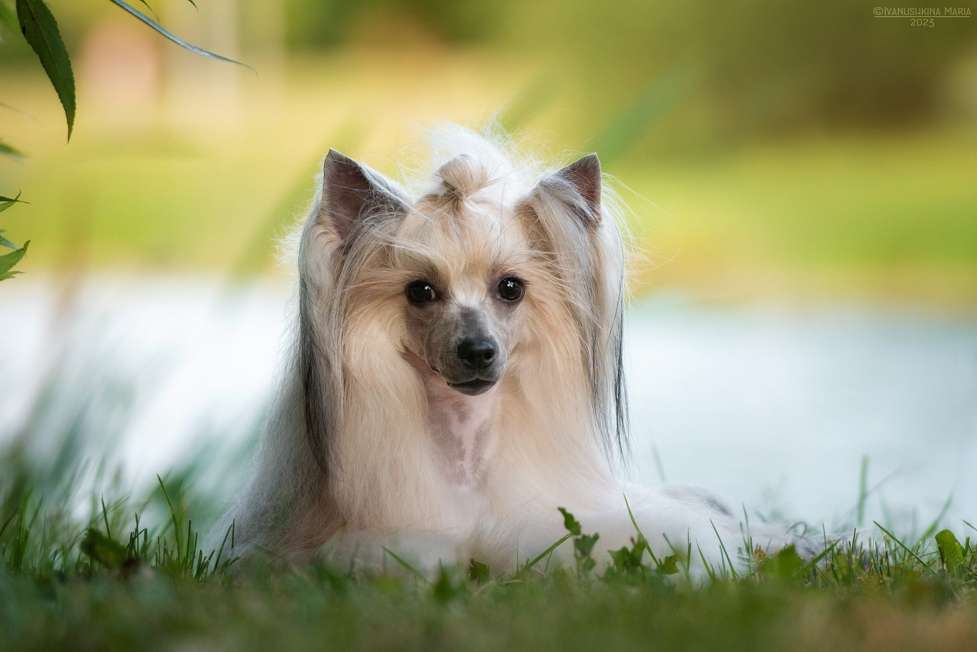 кхс пуховая