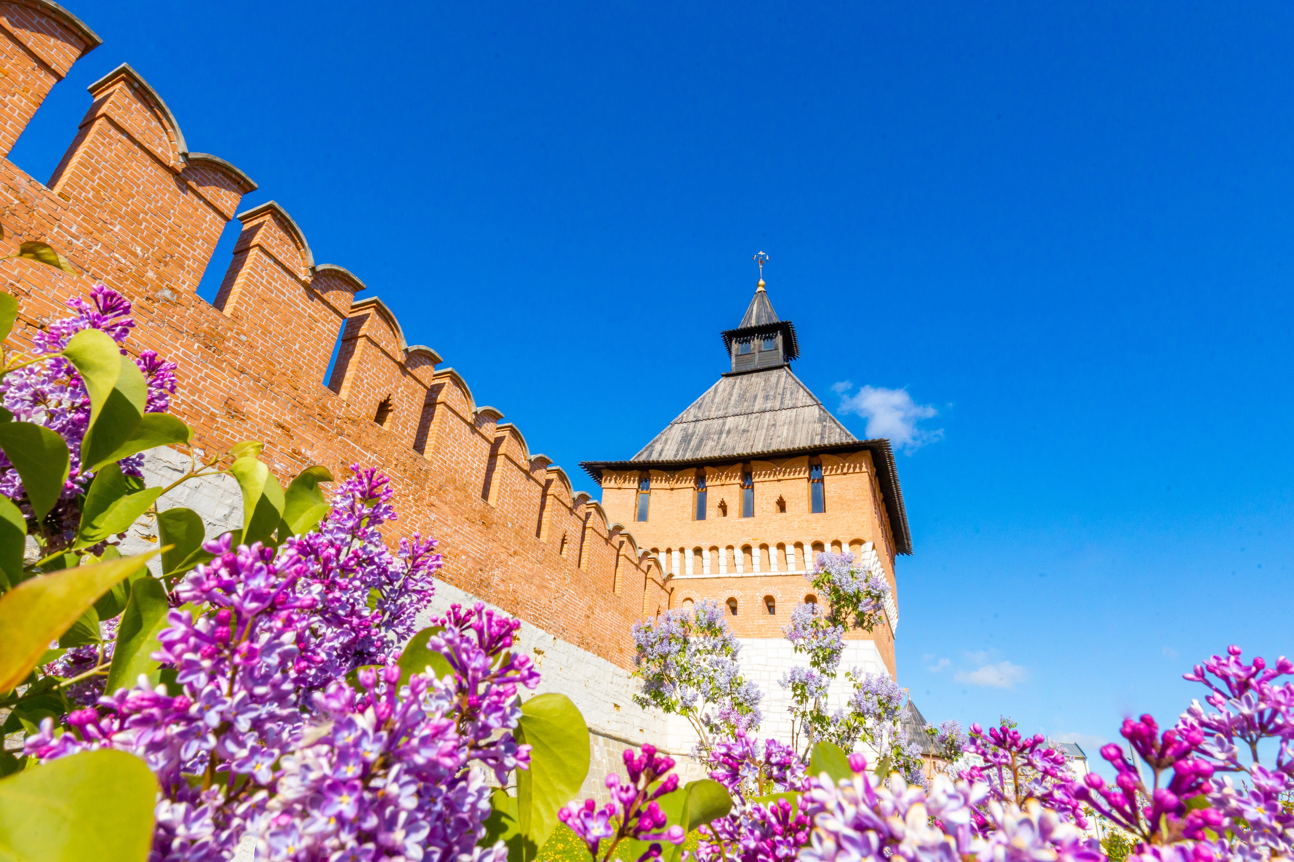 Весеннее цветение в Туле. Фотограф в Туле Крупский АнДРей. Фотостудия «КАДР71» в Туле