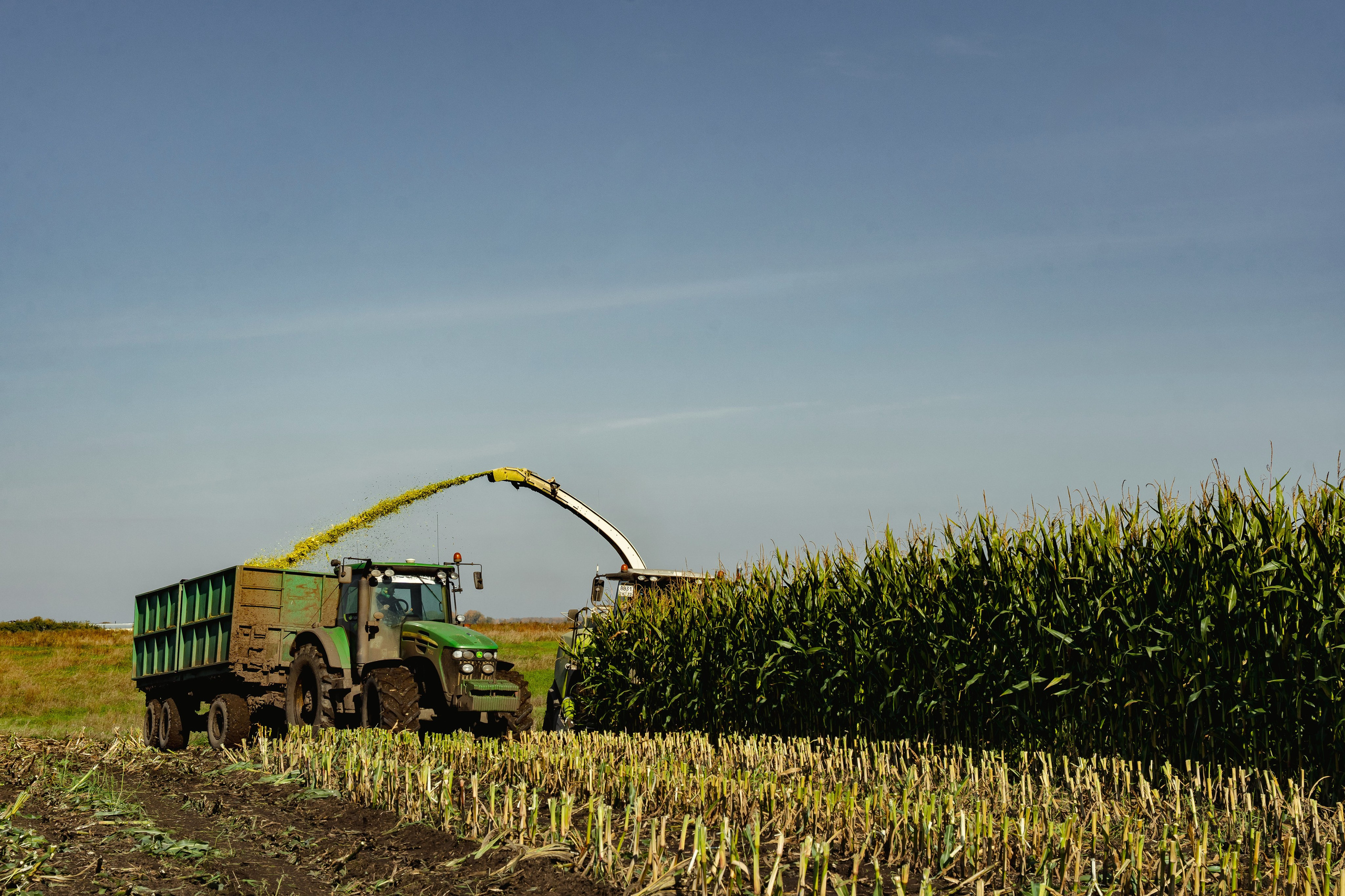 Коммерция. Портретный и событийный фотограф в Барнауле, Москве, Новосибирске