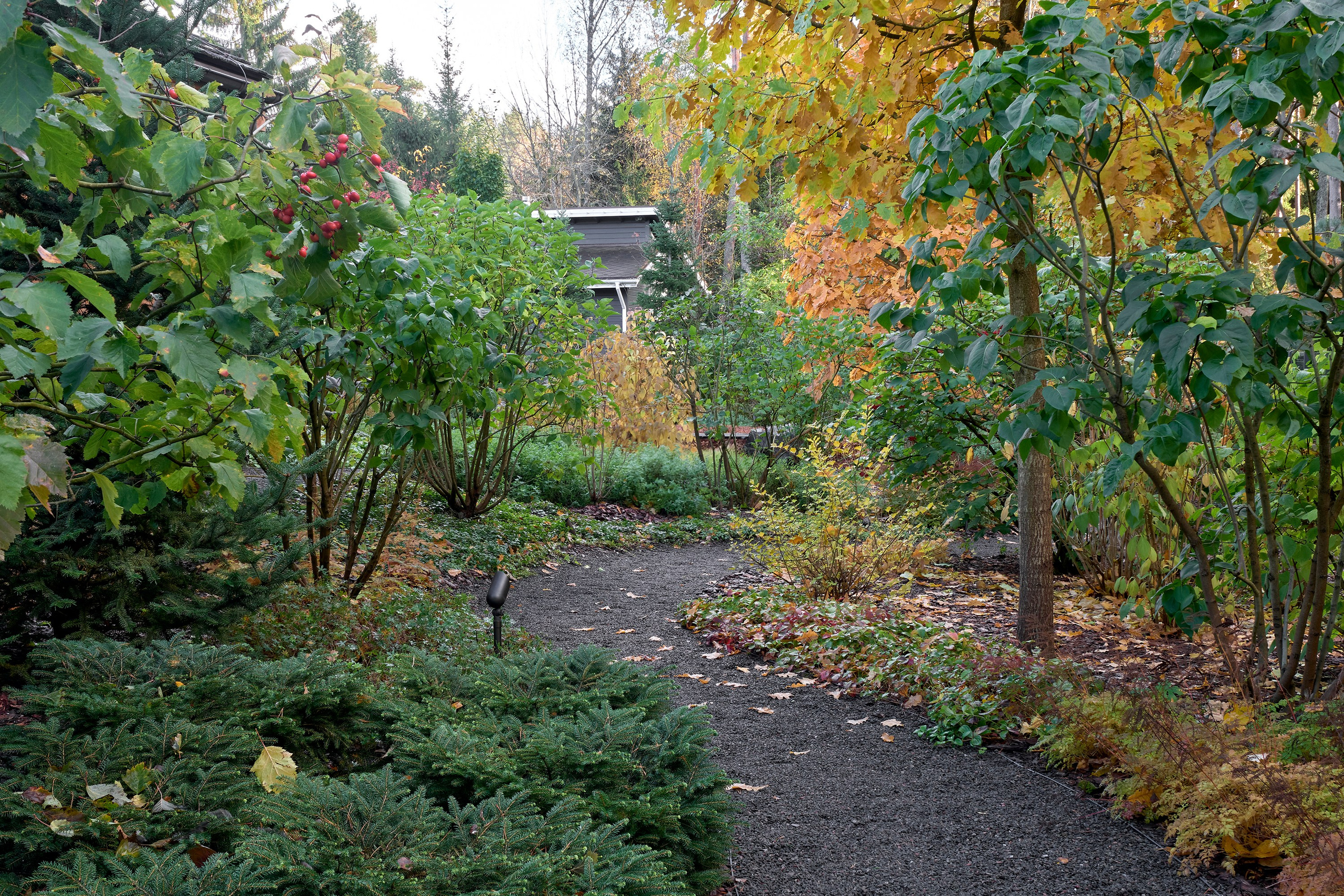 Усадьба Хрустальное: фотосъемка частного сада Валерия Федотова в Репино для L.BURO. Фотограф Наталья Соловьева | interioto