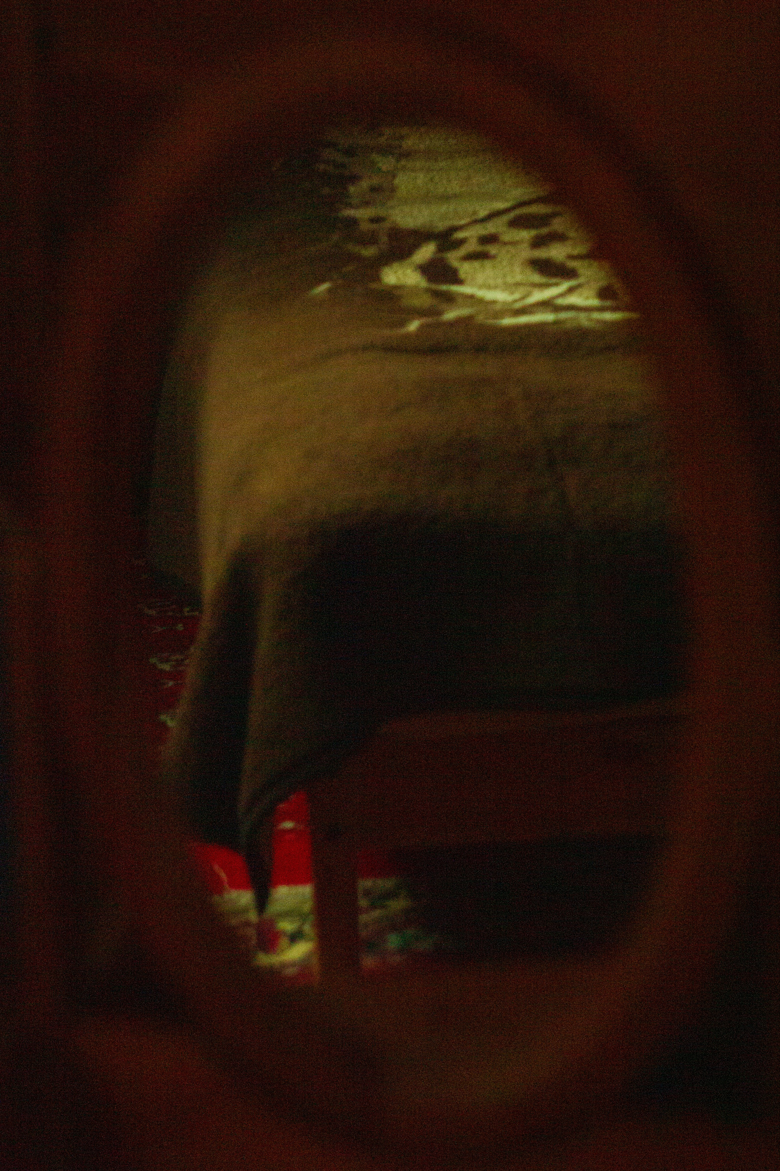 Dacha vibes. Папка кадров 📁