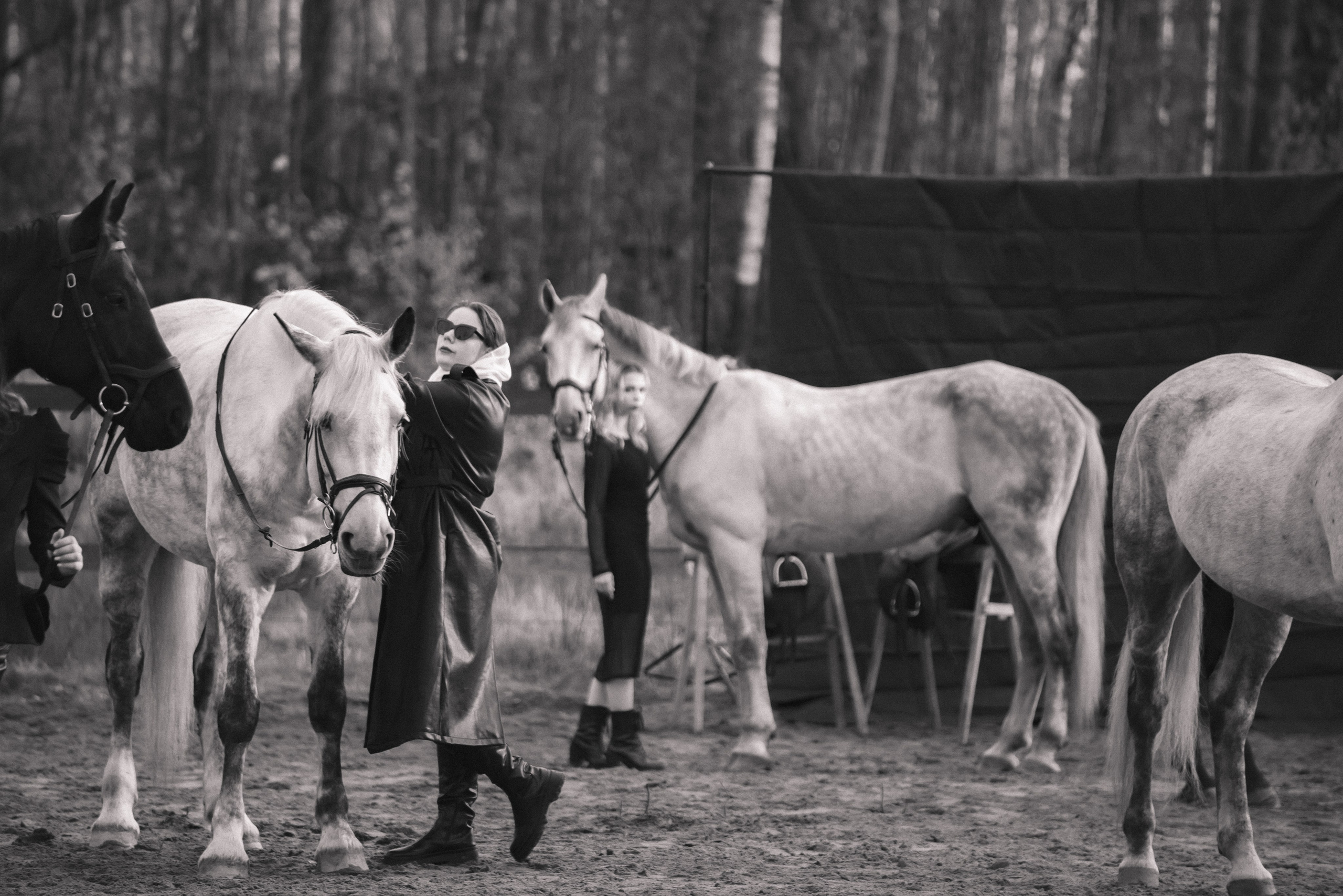 Проект DEFILE. Конный фотограф в Санкт-Петербурге Анна Лебедева