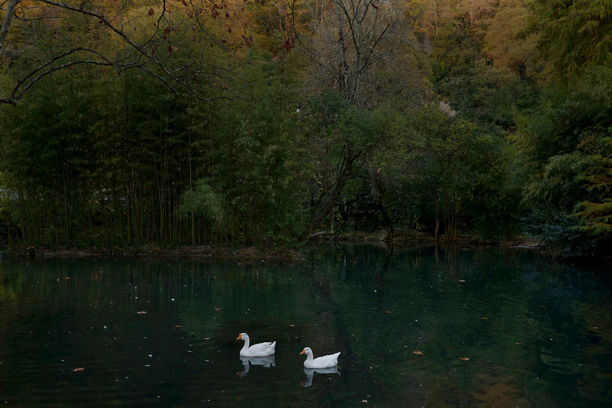 Съемка архитектуры. Фотограф Михаил Мордасов, Сочи. Мероприятия, портреты, спорт, репортаж