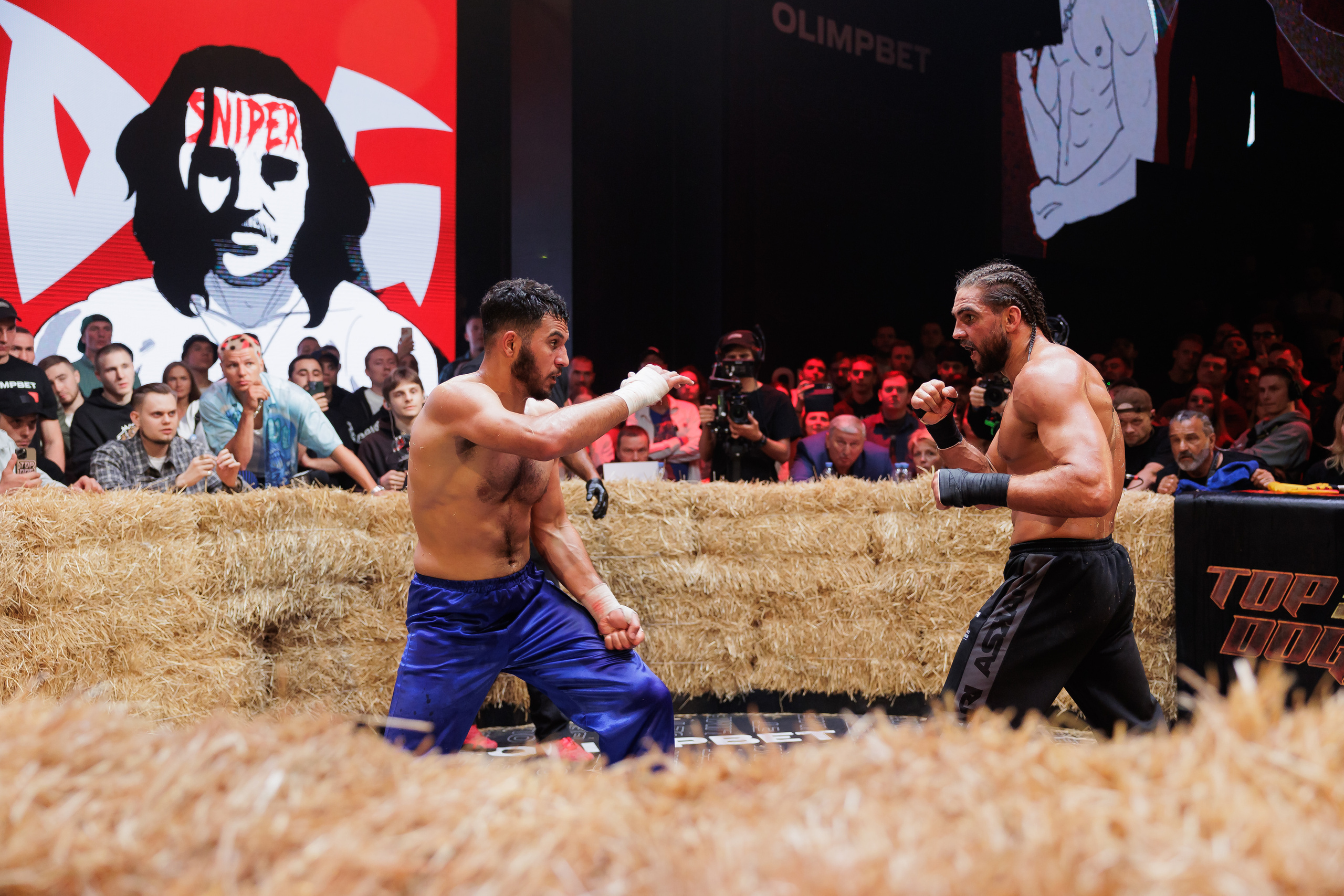 TOP DOG. Светский фотограф — Анисина Ирина