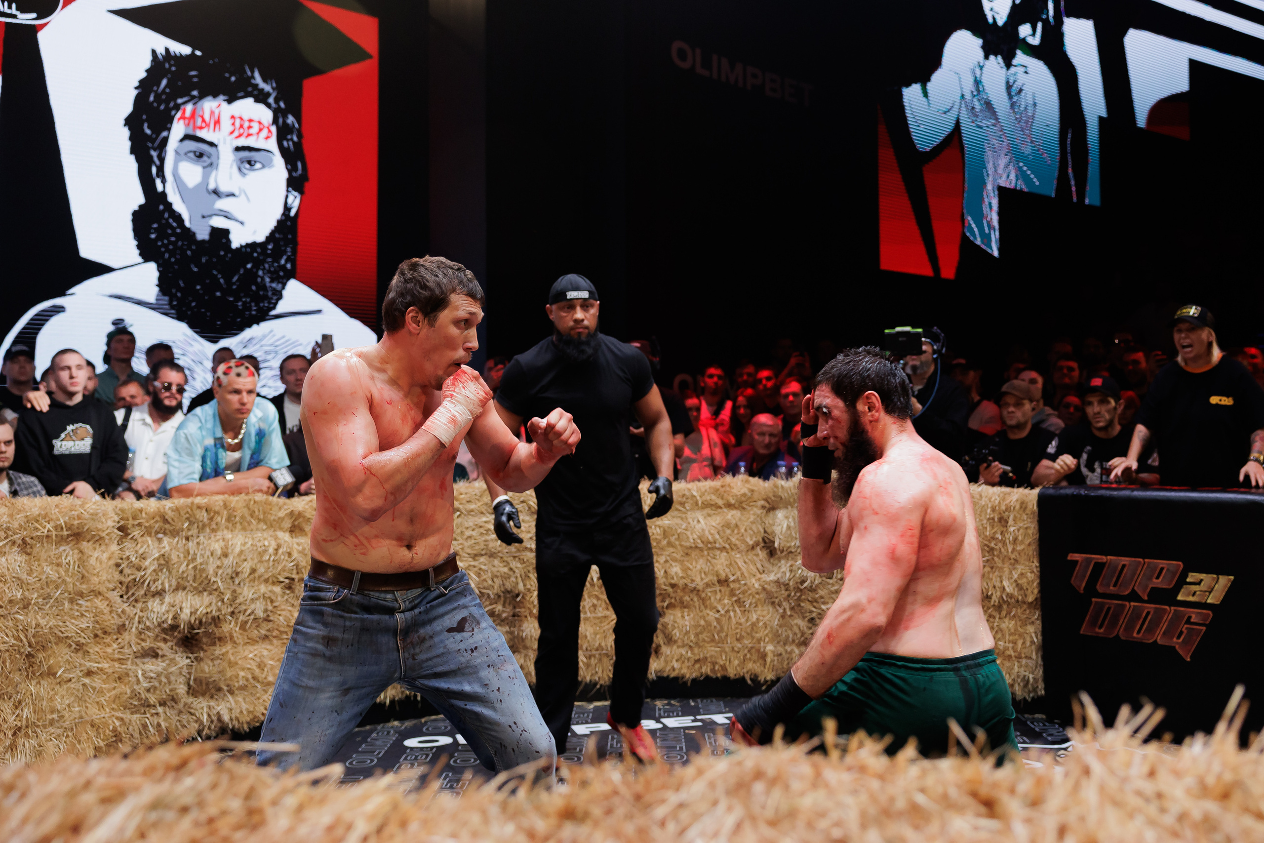 TOP DOG. Светский фотограф — Анисина Ирина