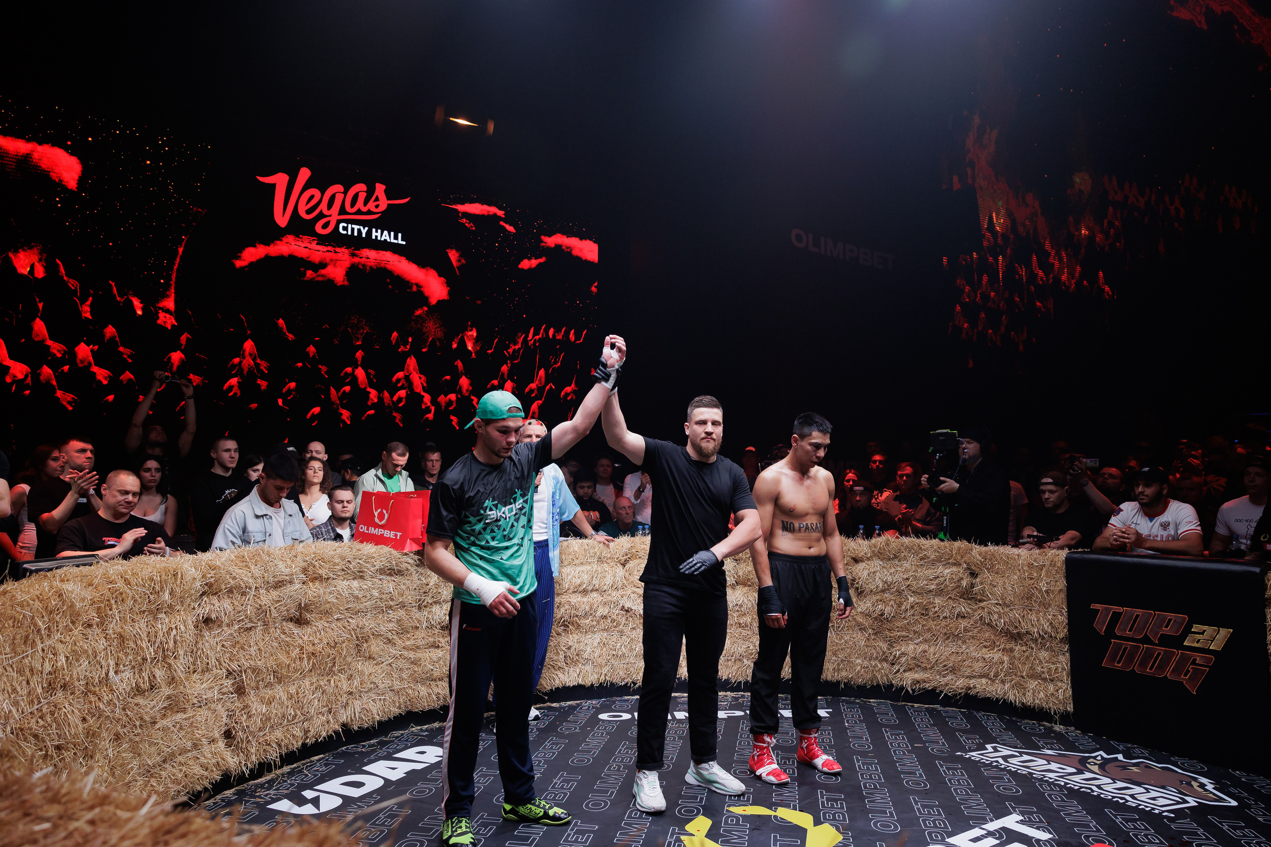 TOP DOG. Светский фотограф — Анисина Ирина