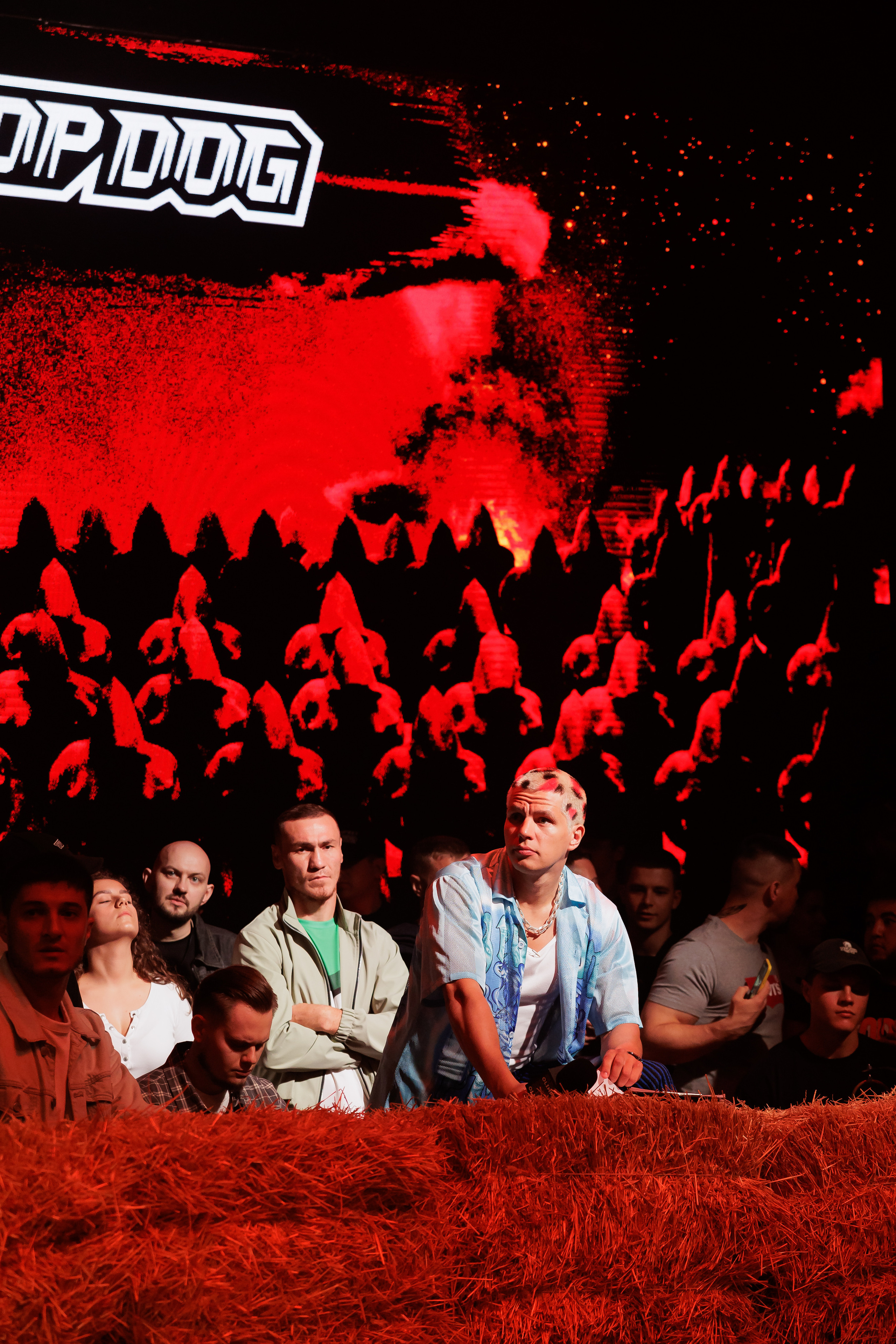 TOP DOG. Светский фотограф — Анисина Ирина