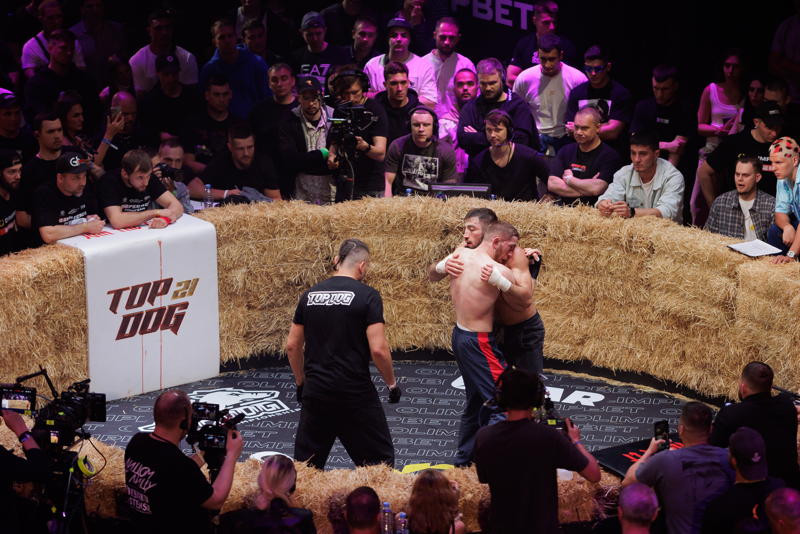 TOP DOG. Светский фотограф — Анисина Ирина