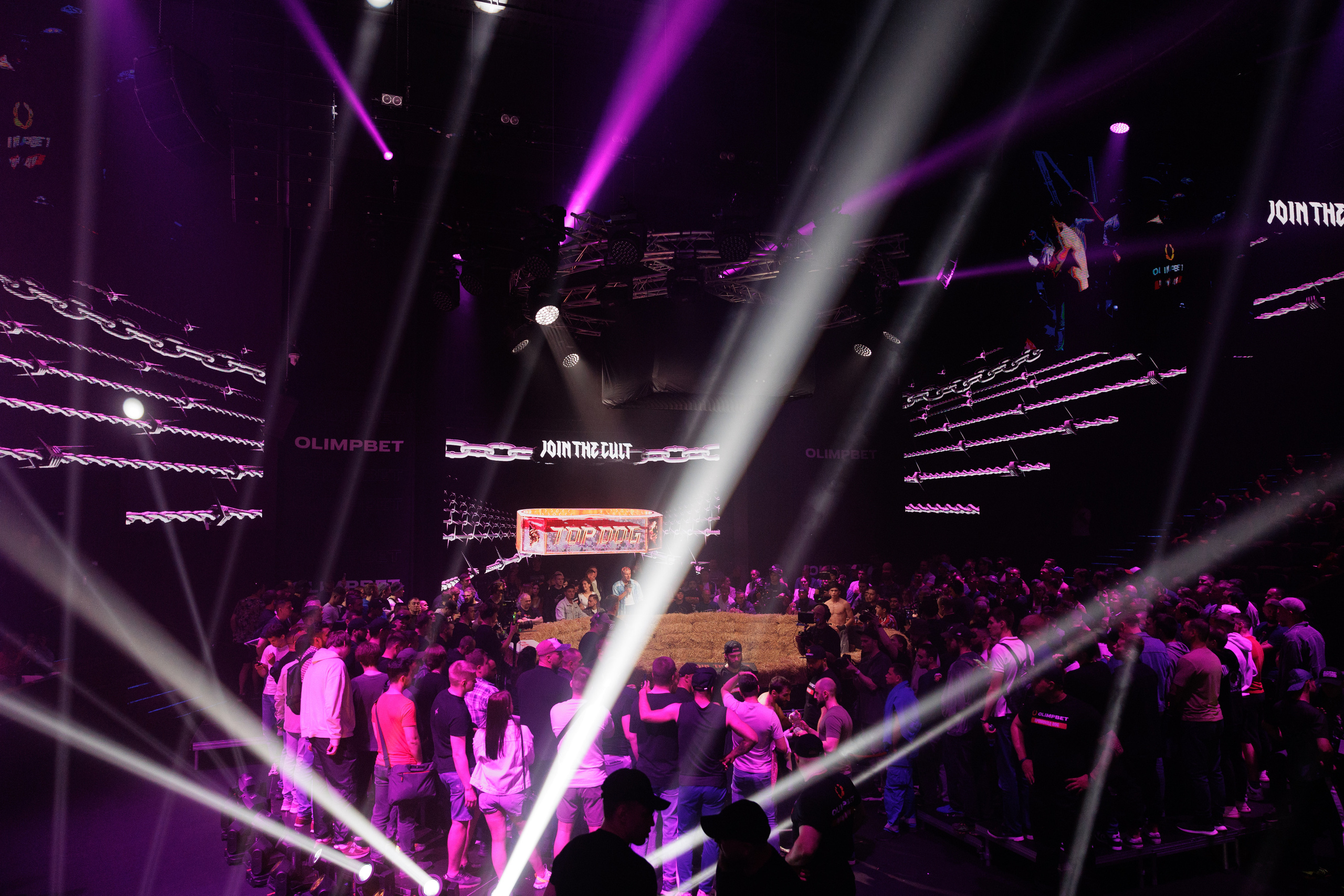 TOP DOG. Светский фотограф — Анисина Ирина