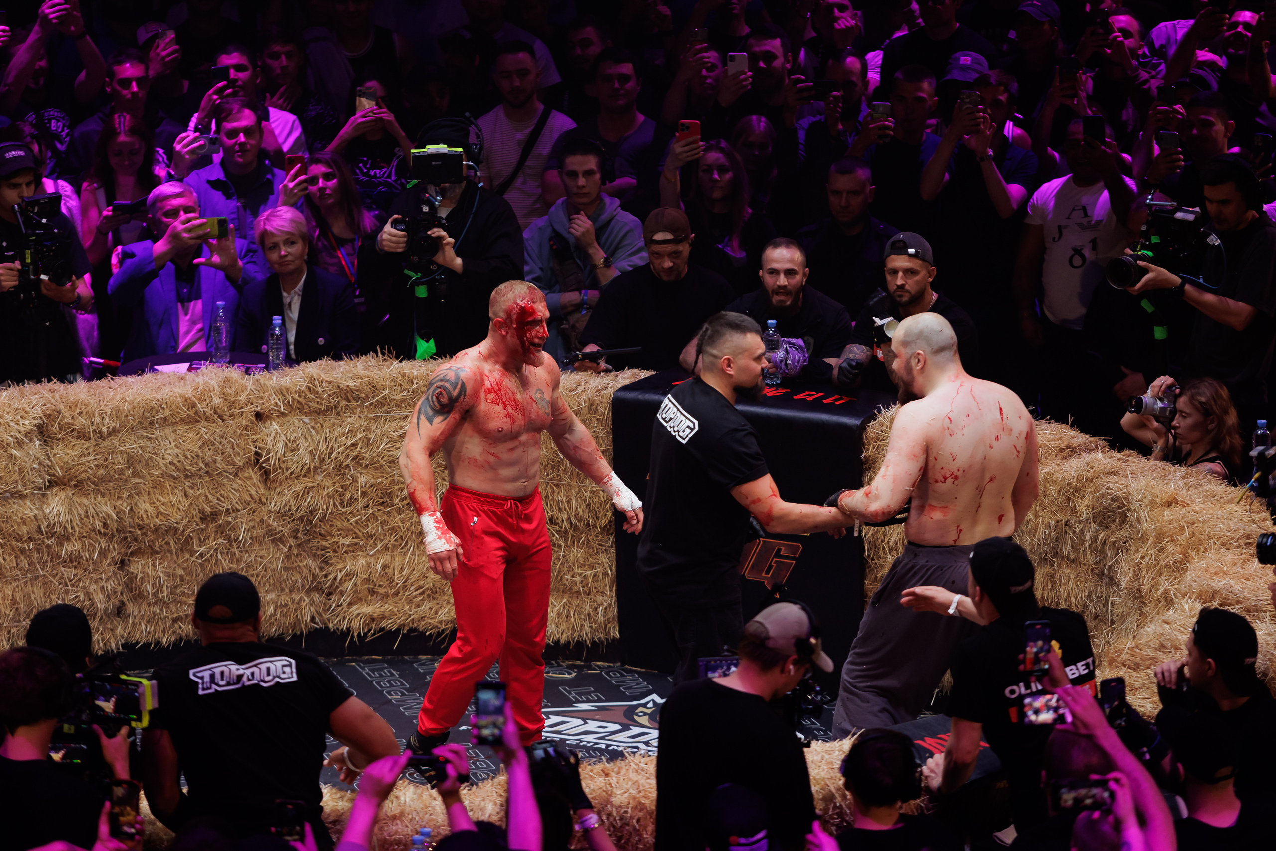 TOP DOG. Светский фотограф — Анисина Ирина