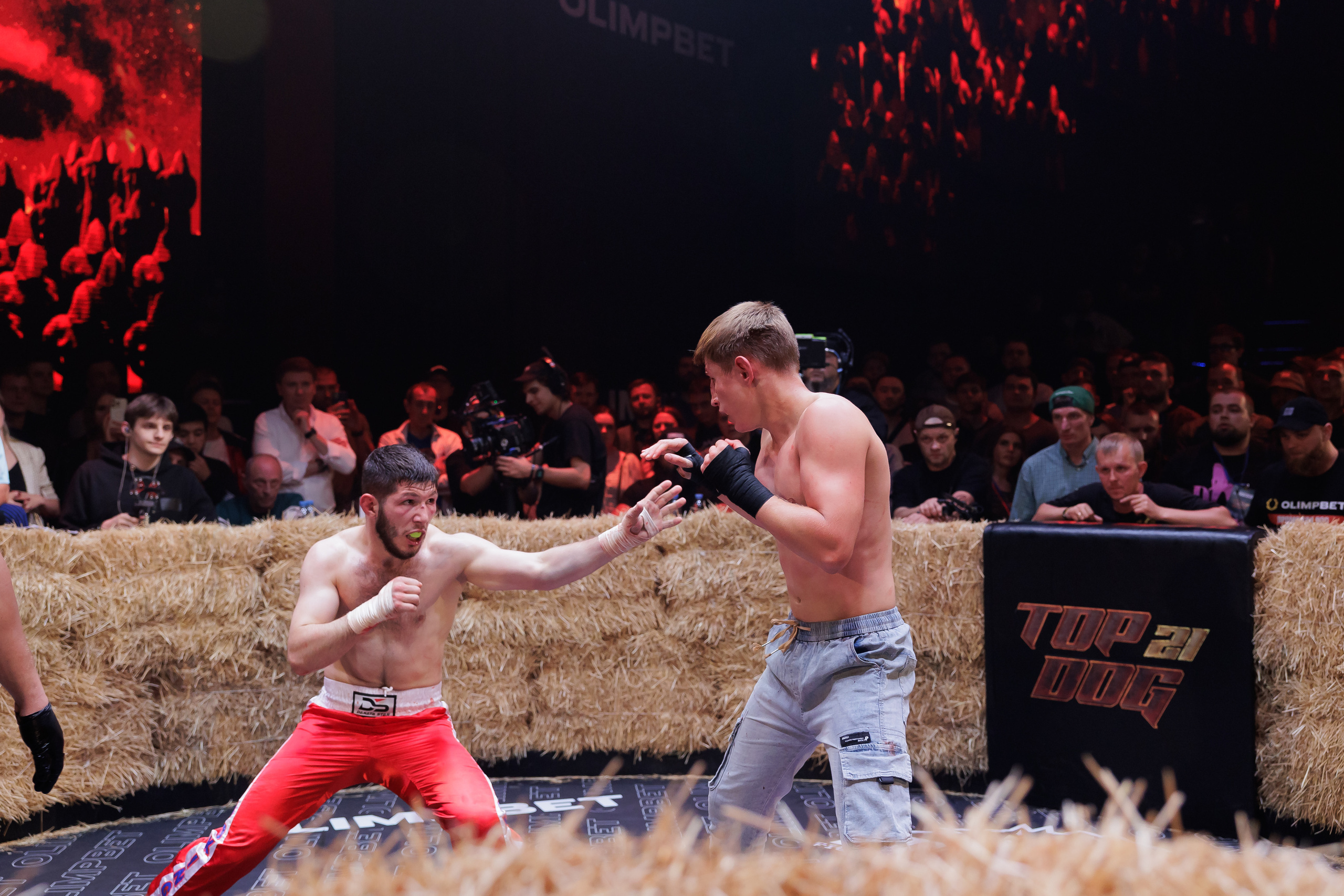 TOP DOG. Светский фотограф — Анисина Ирина