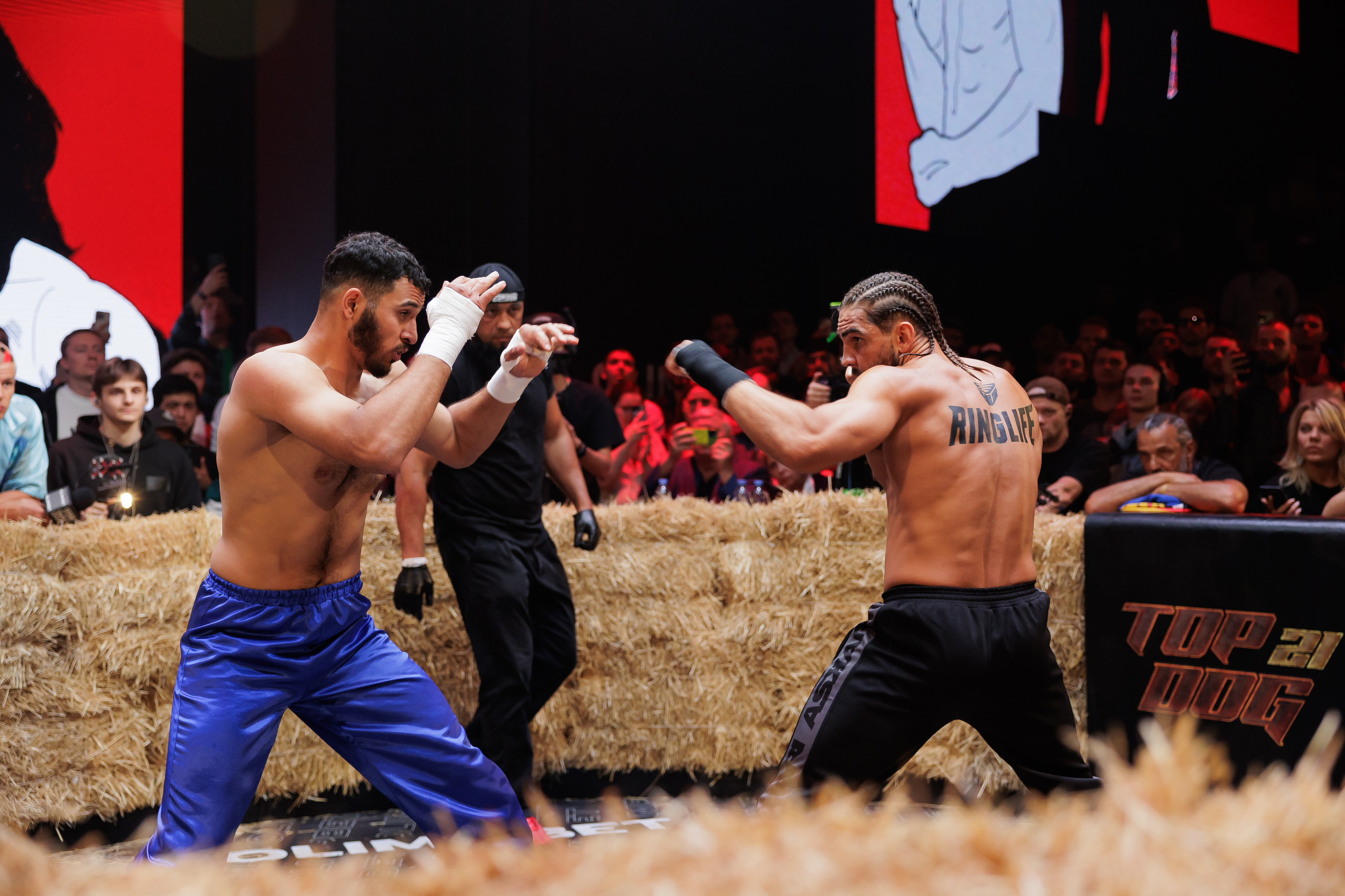 TOP DOG. Светский фотограф — Анисина Ирина