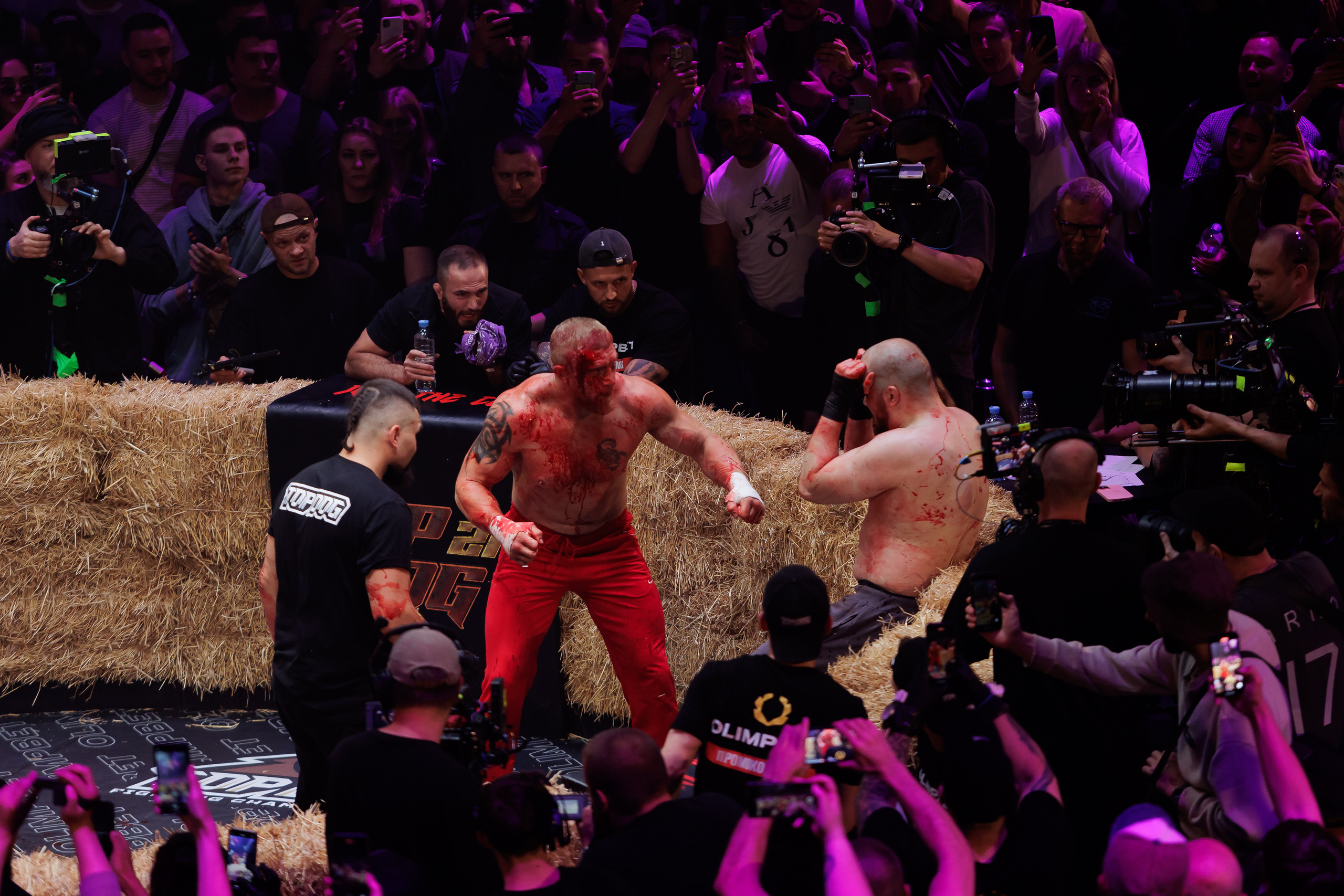 TOP DOG. Светский фотограф — Анисина Ирина