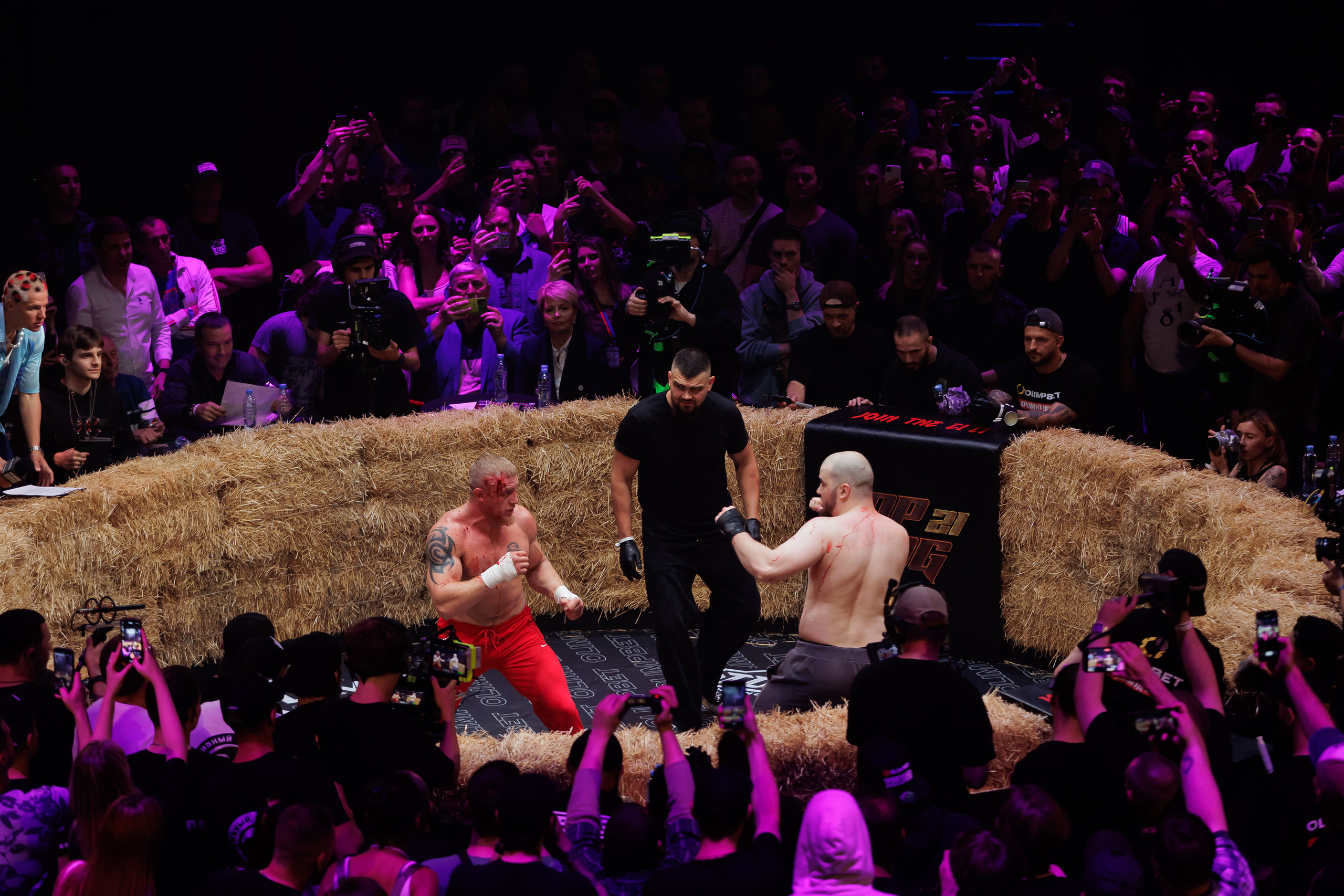 TOP DOG. Светский фотограф — Анисина Ирина