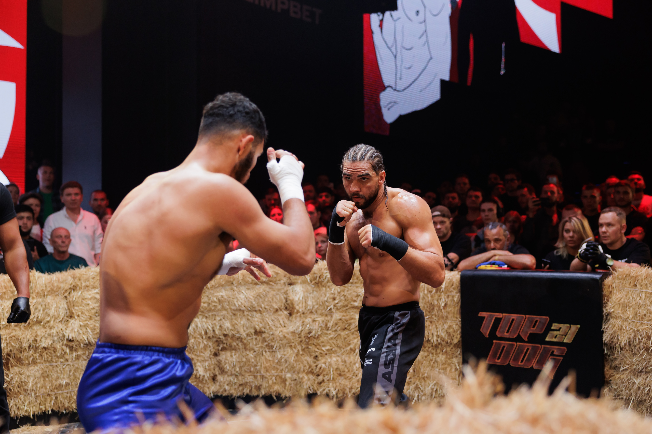 TOP DOG. Светский фотограф — Анисина Ирина