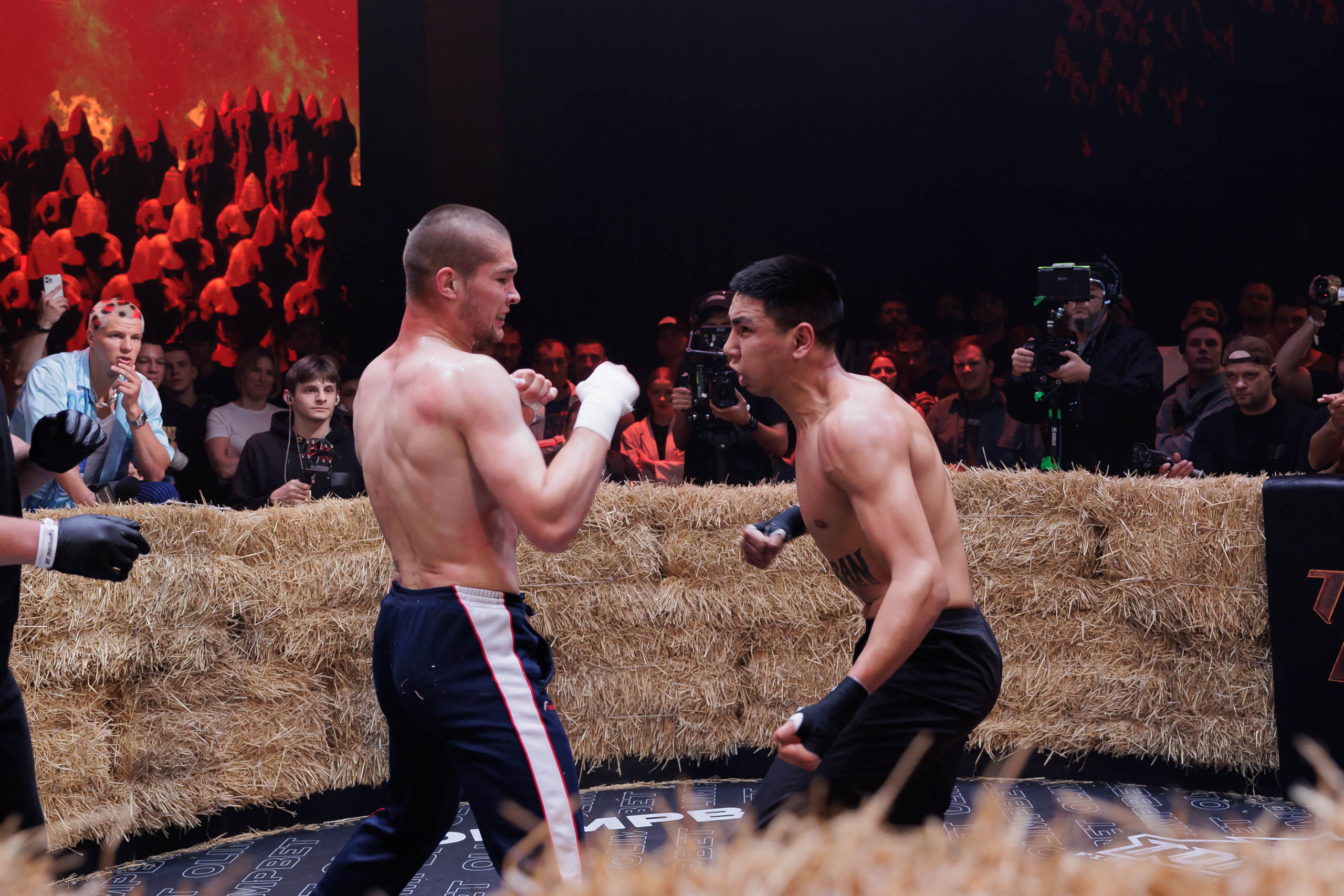 TOP DOG. Светский фотограф — Анисина Ирина