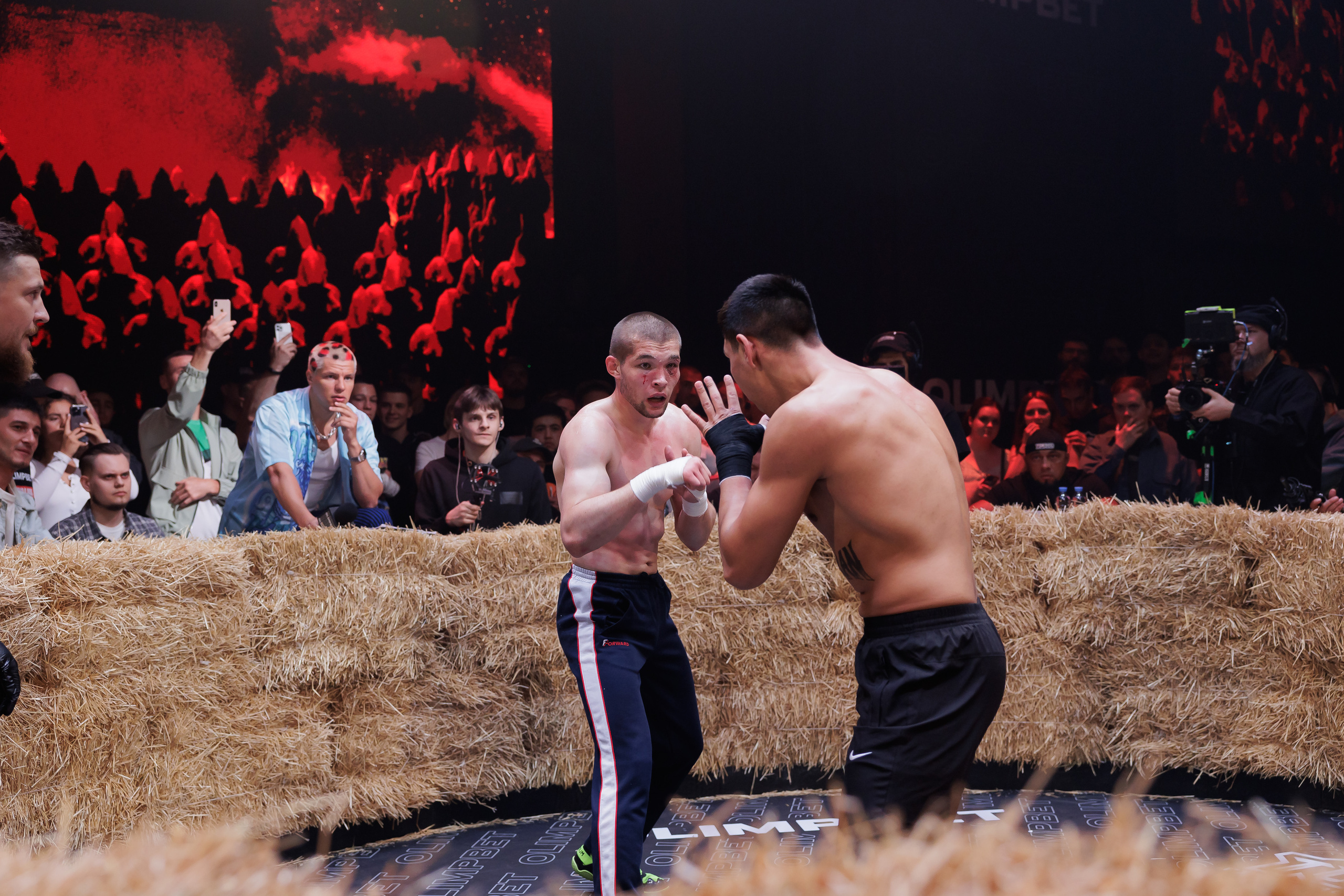 TOP DOG. Светский фотограф — Анисина Ирина