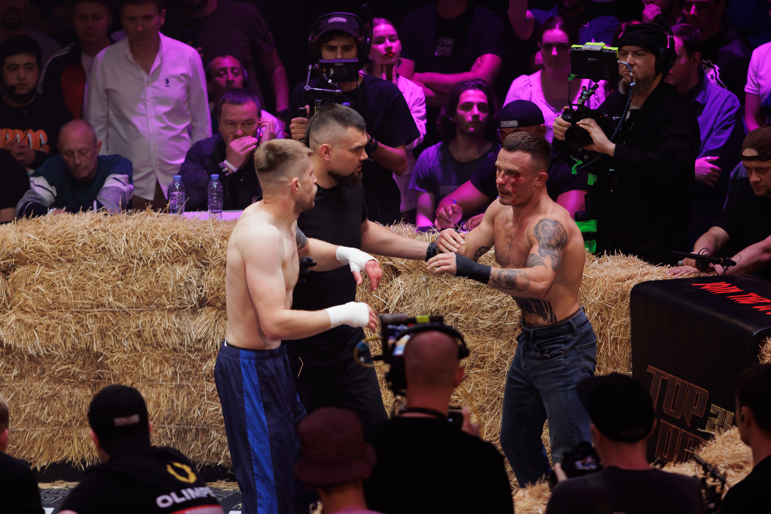 TOP DOG. Светский фотограф — Анисина Ирина