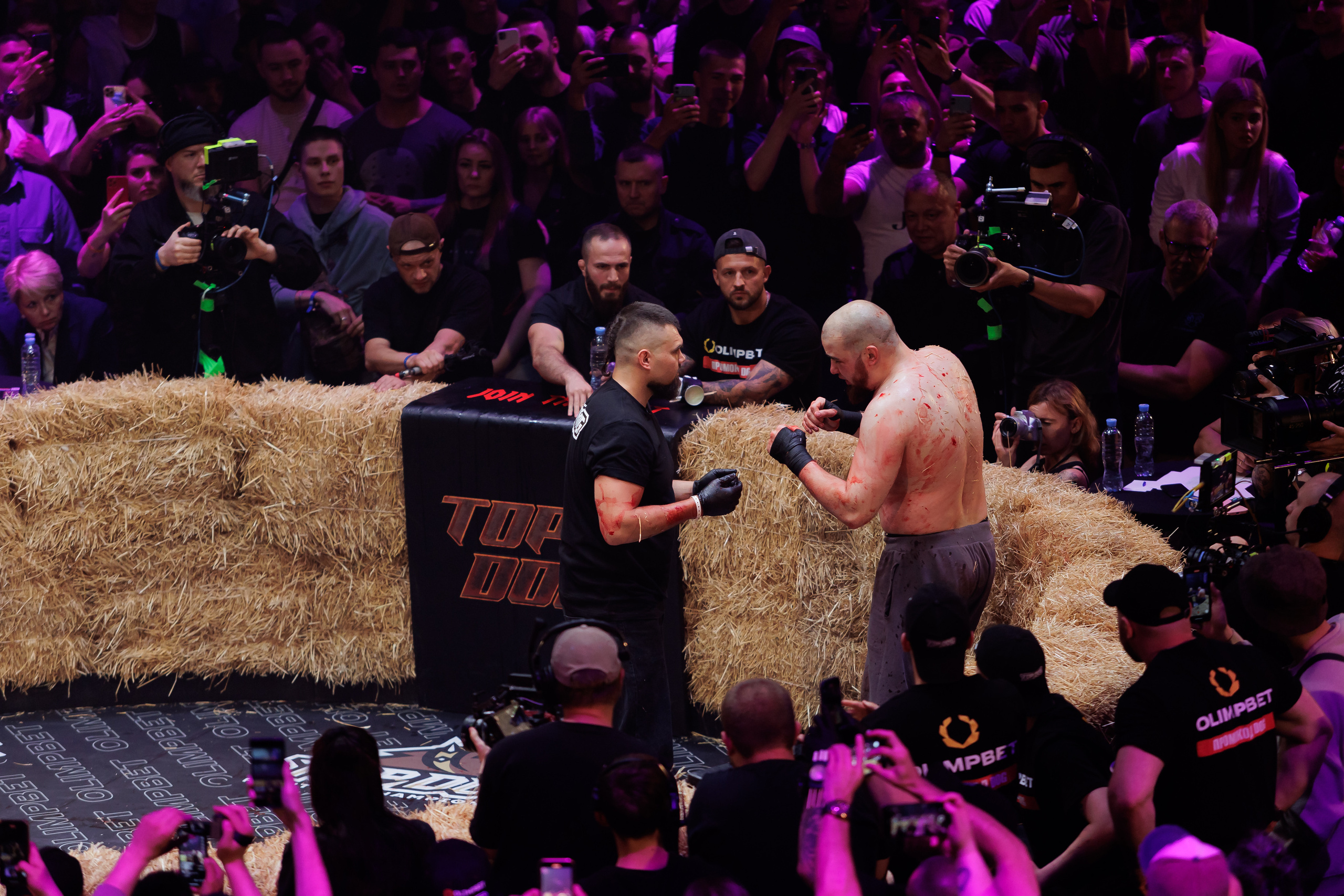 TOP DOG. Светский фотограф — Анисина Ирина