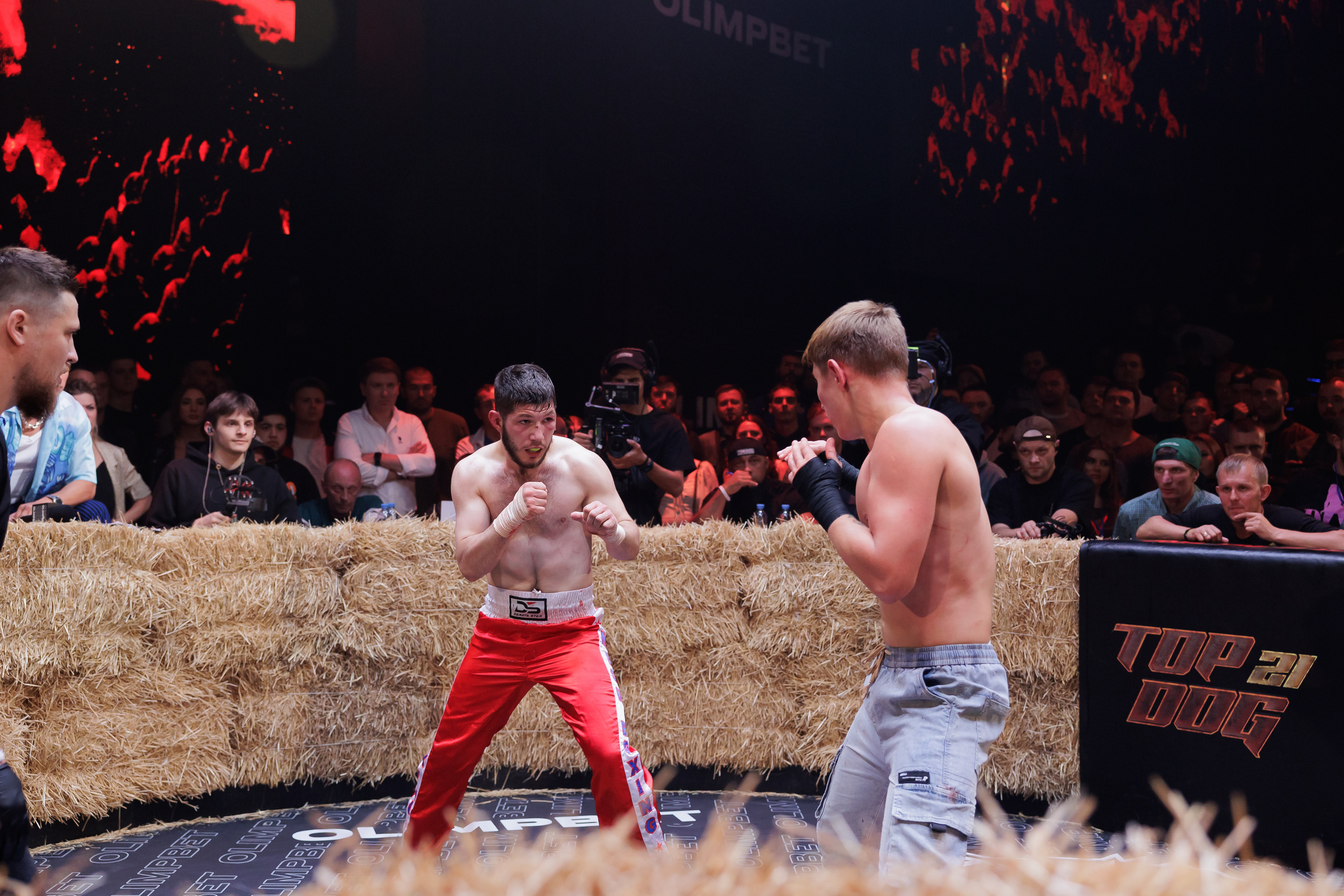 TOP DOG. Светский фотограф — Анисина Ирина