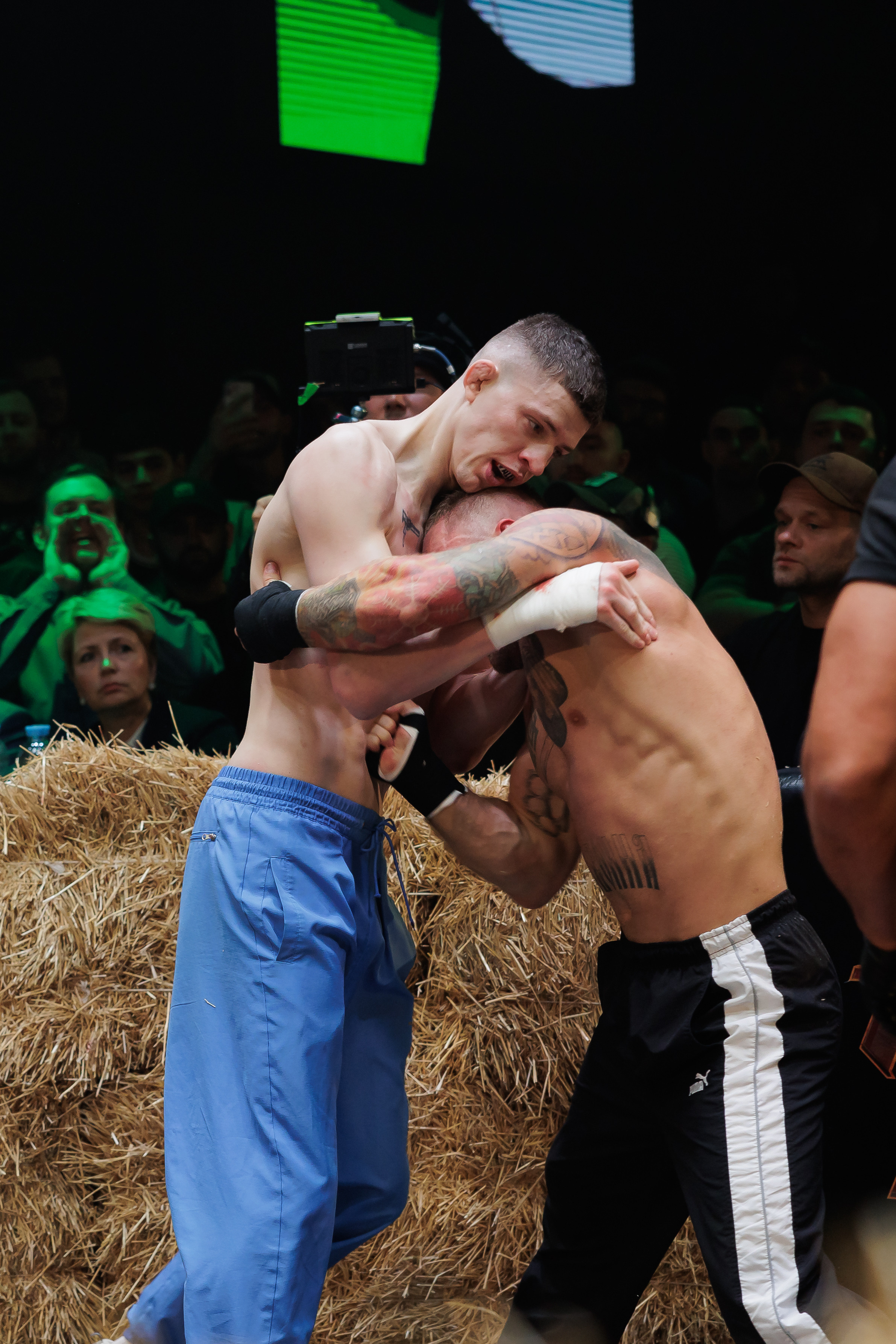 TOP DOG. Светский фотограф — Анисина Ирина