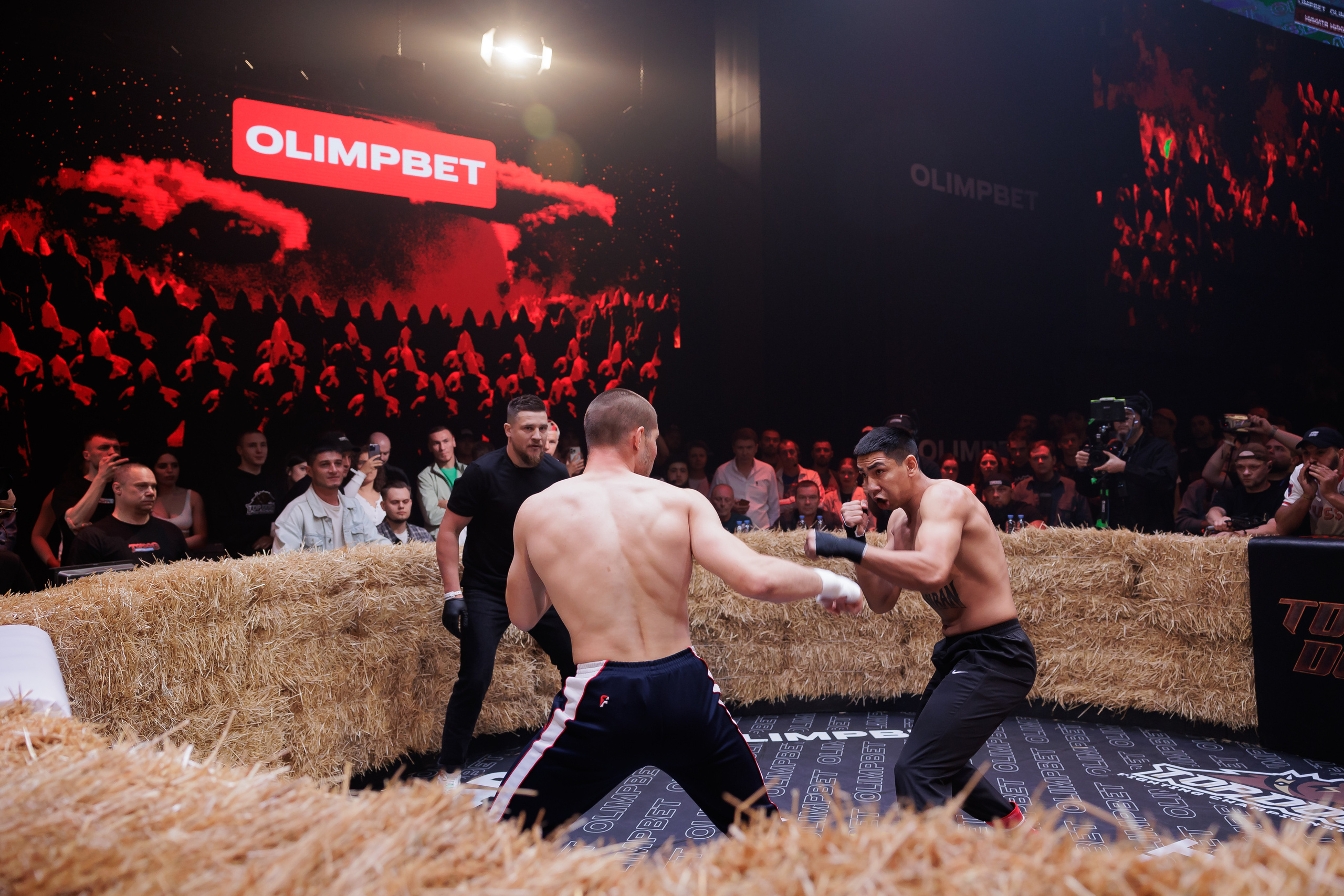 TOP DOG. Светский фотограф — Анисина Ирина