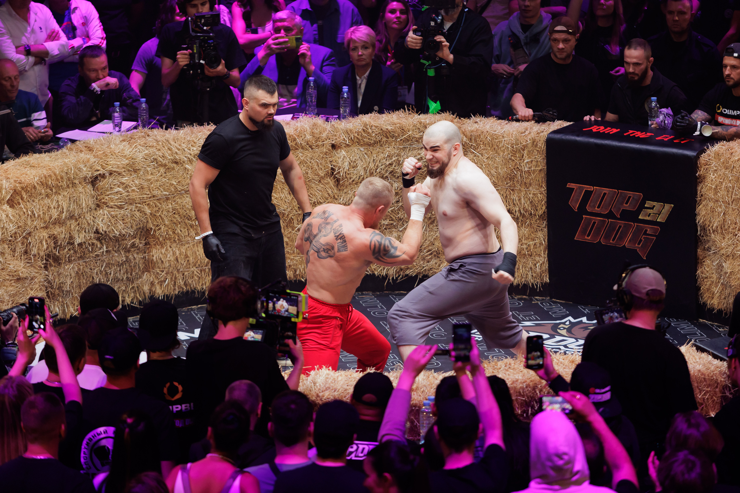 TOP DOG. Светский фотограф — Анисина Ирина