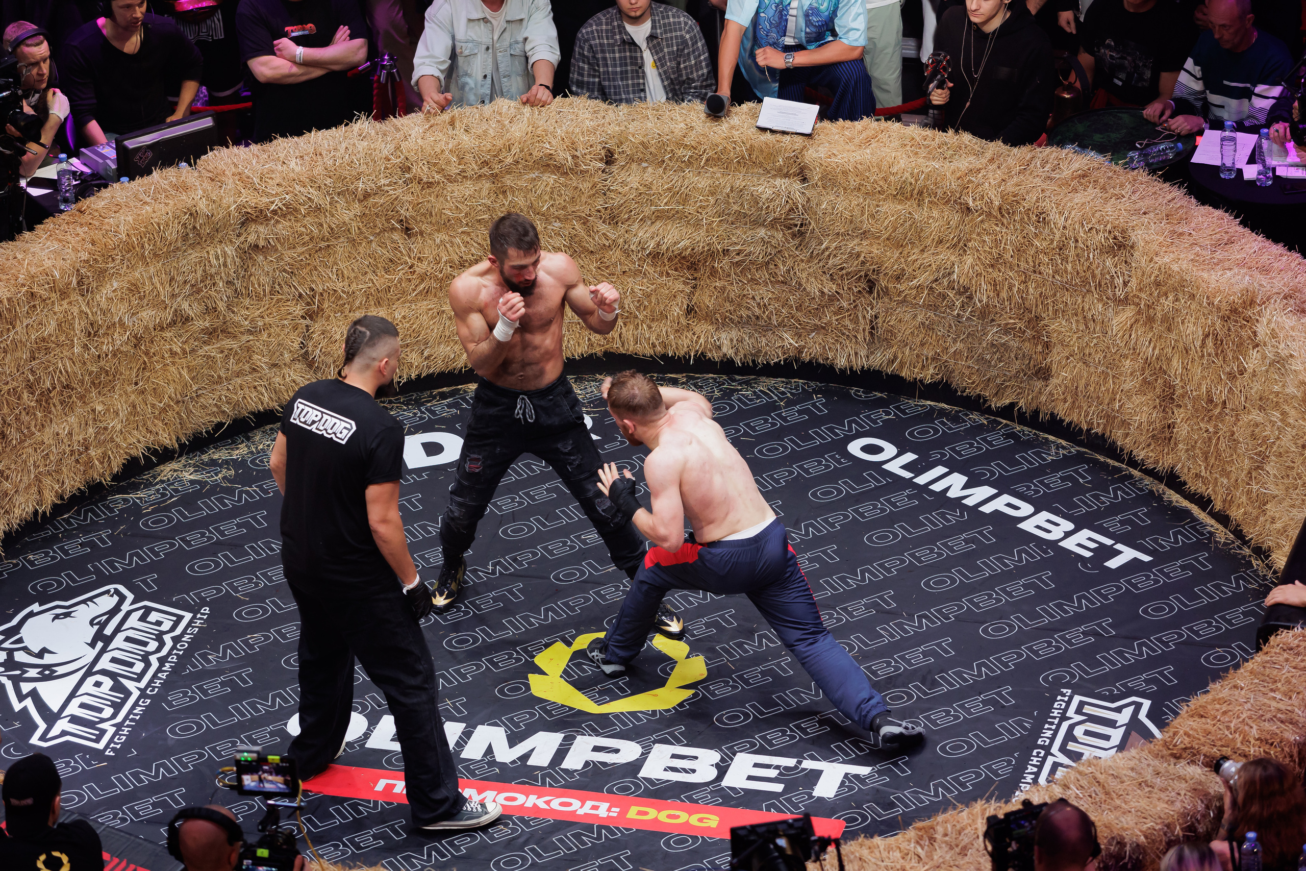 TOP DOG. Светский фотограф — Анисина Ирина