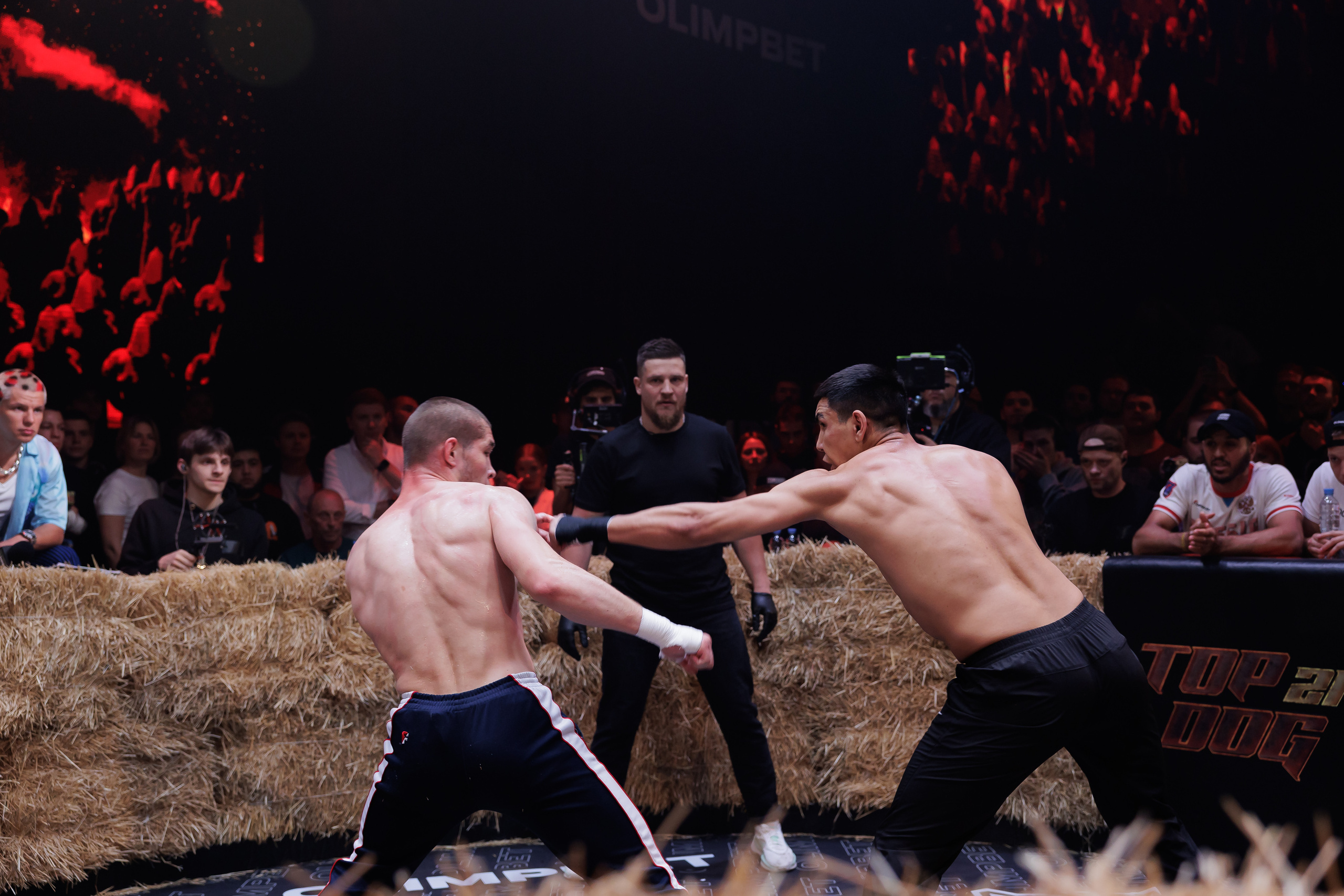 TOP DOG. Светский фотограф — Анисина Ирина