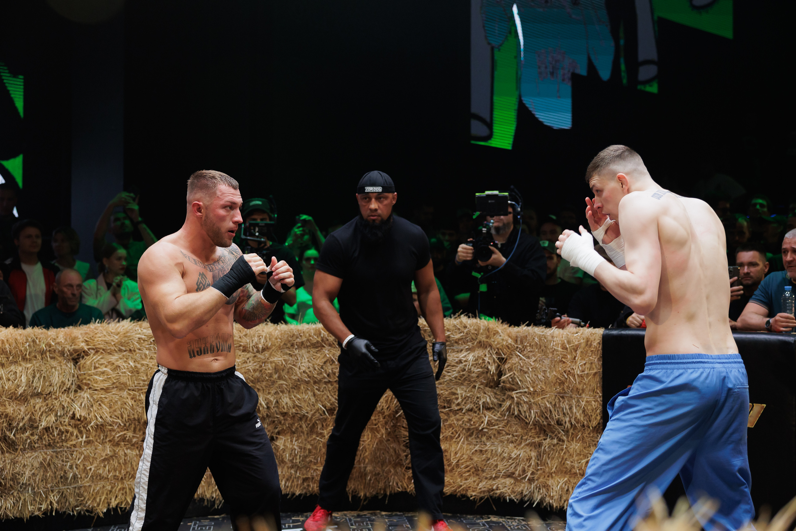 TOP DOG. Светский фотограф — Анисина Ирина