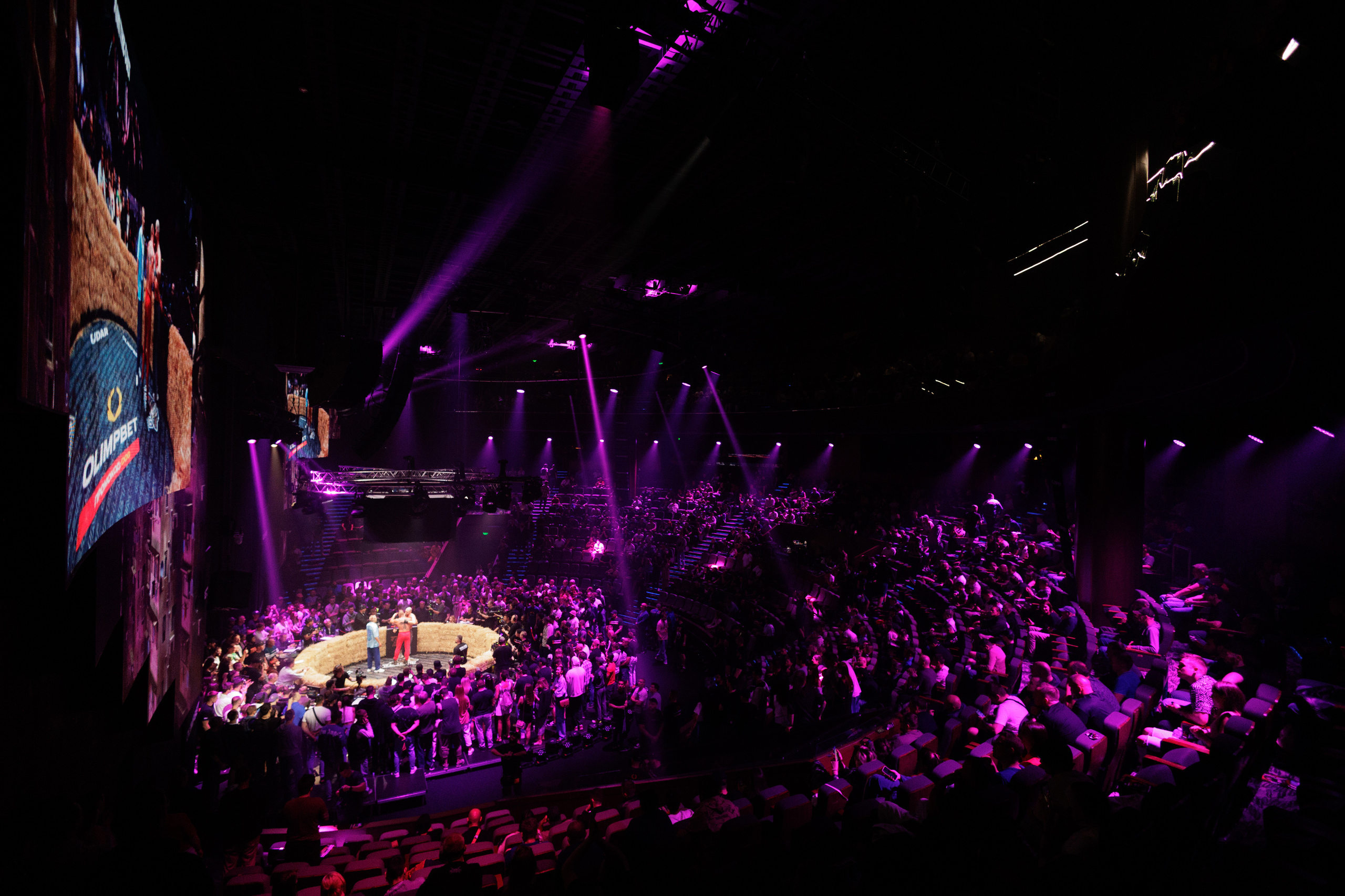 TOP DOG. Светский фотограф — Анисина Ирина