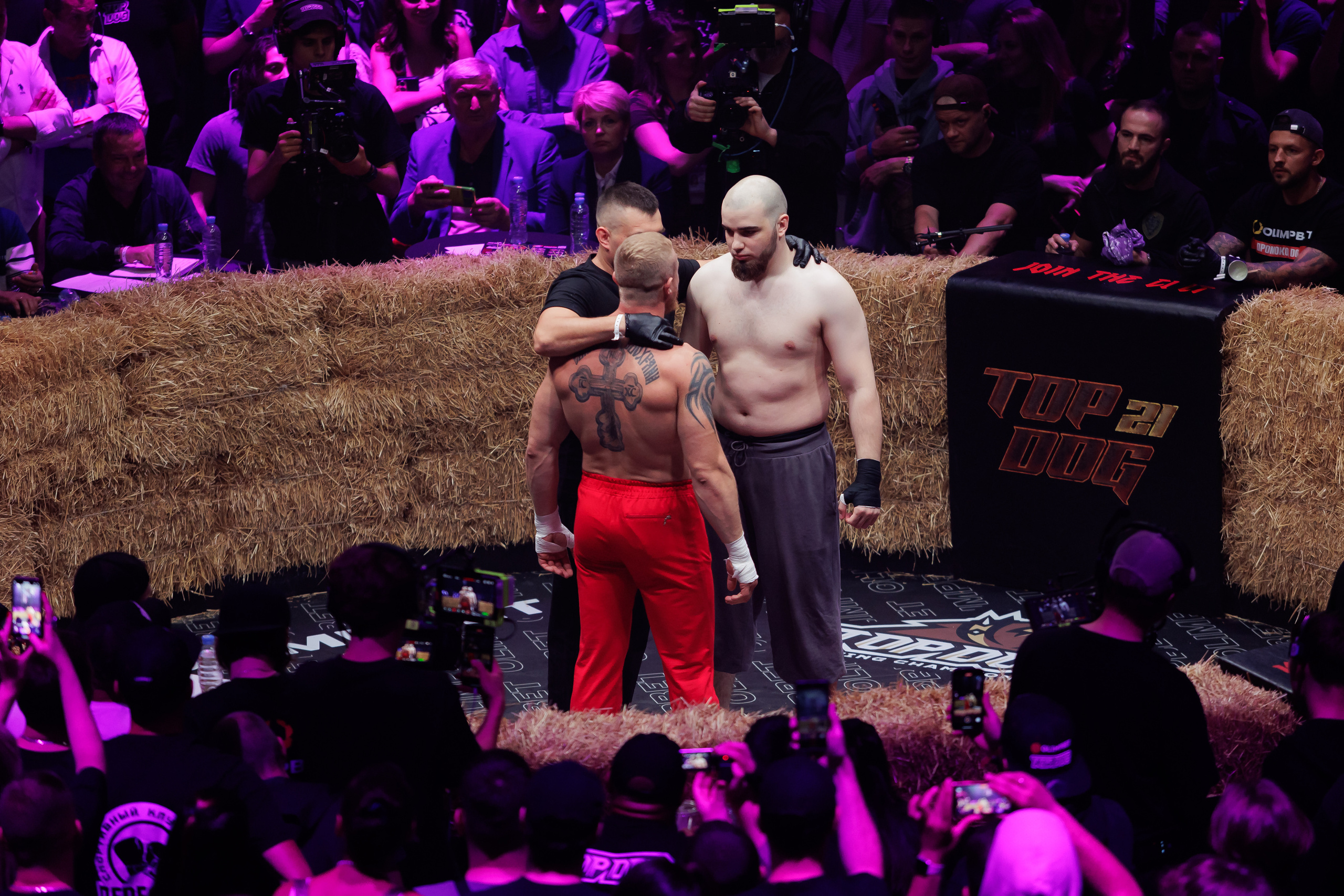 TOP DOG. Светский фотограф — Анисина Ирина