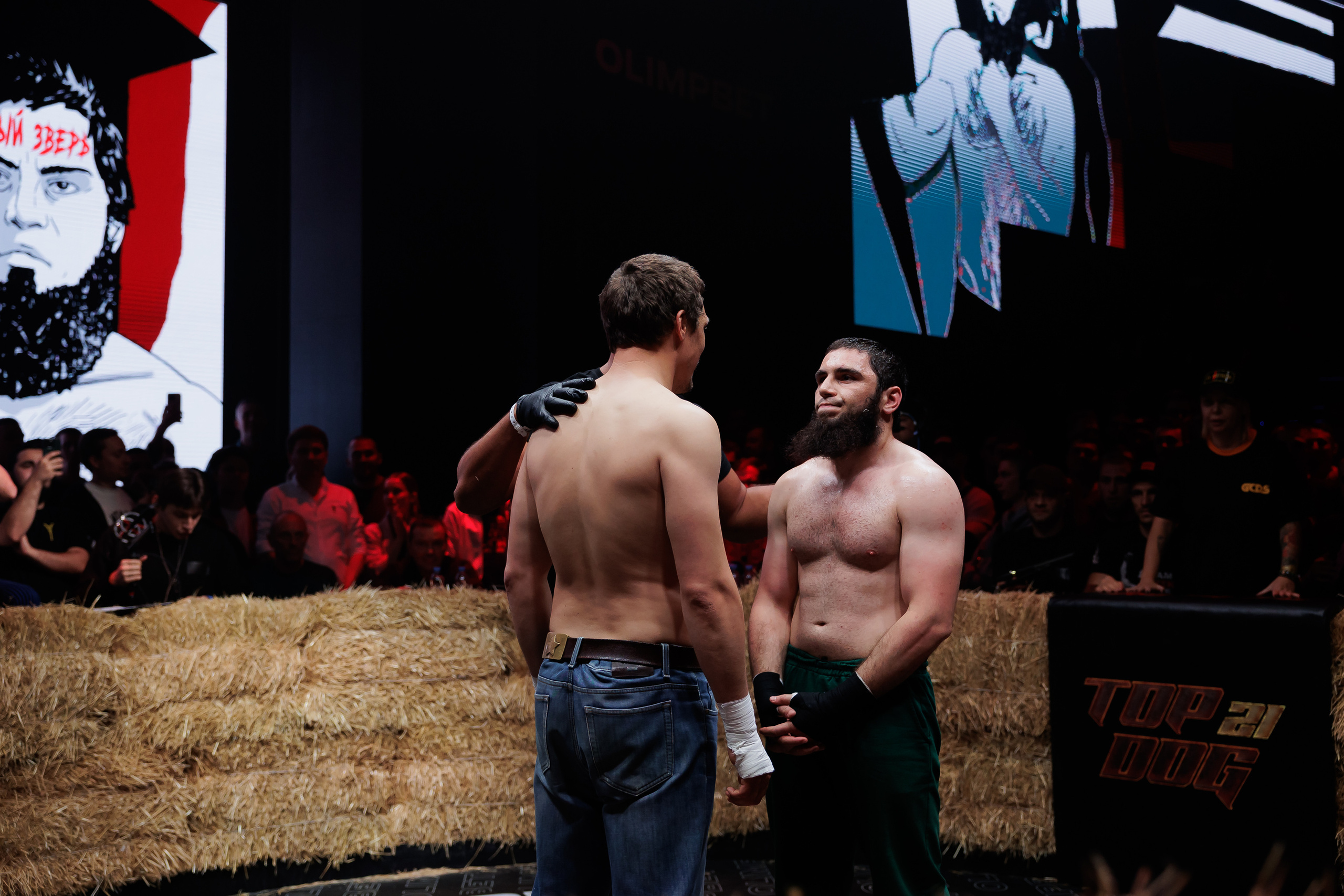 TOP DOG. Светский фотограф — Анисина Ирина