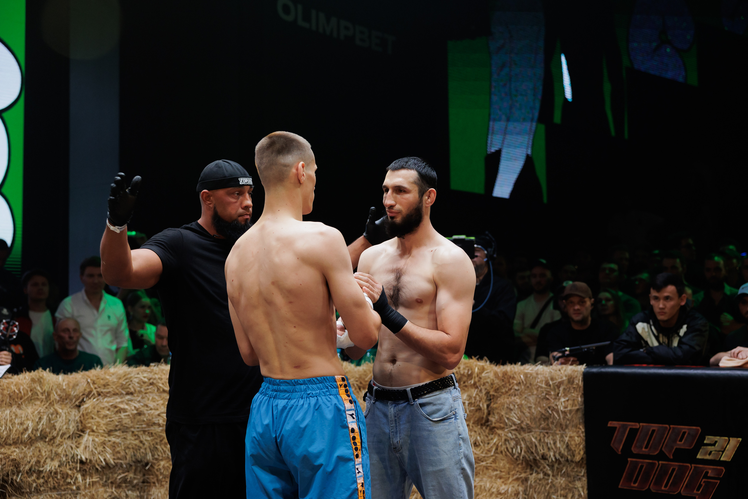 TOP DOG. Светский фотограф — Анисина Ирина