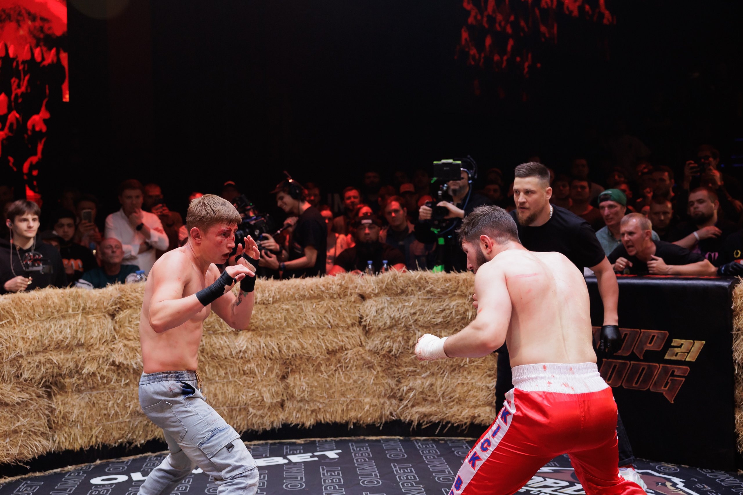 TOP DOG. Светский фотограф — Анисина Ирина