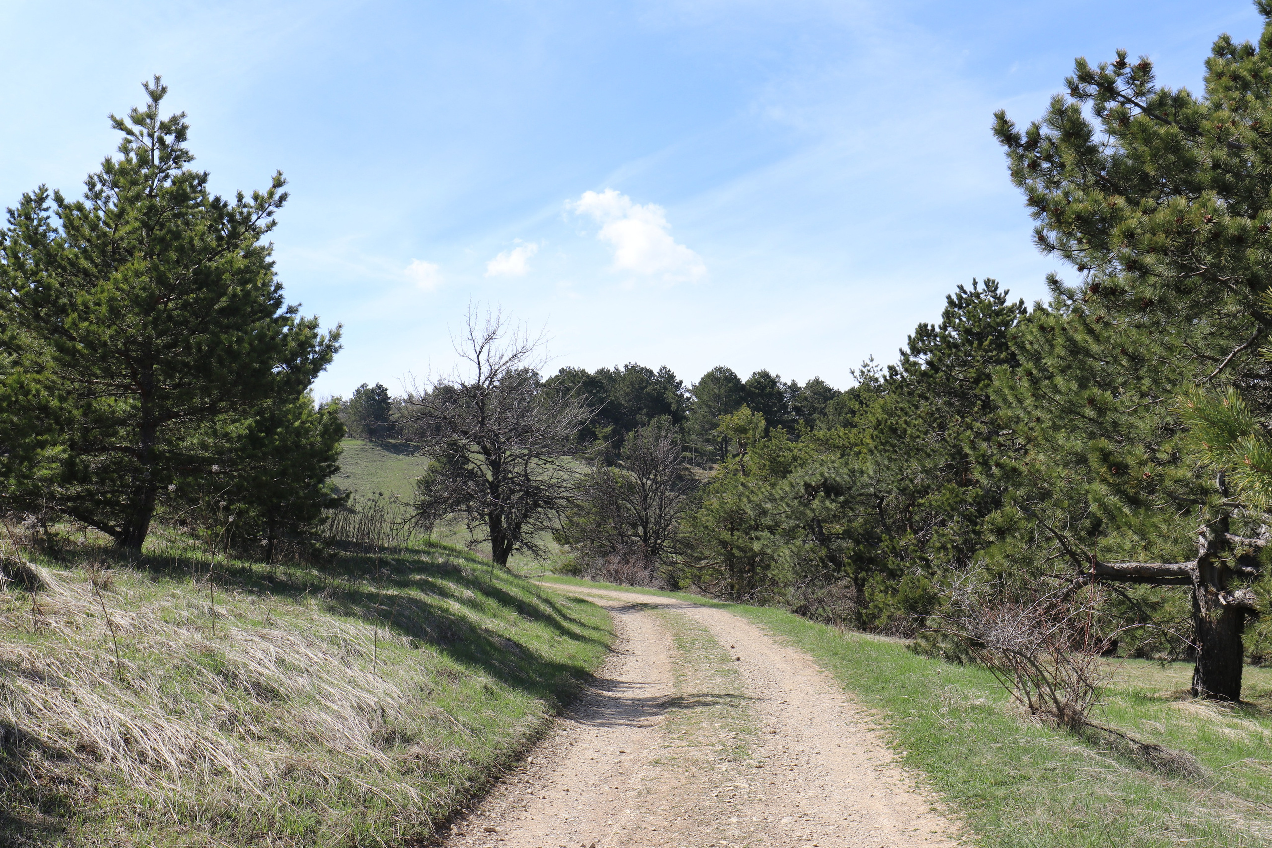 Крым. ЮБК (Бахчисарай, Кастрополь, Таракташская тропа). Май 2021. Путешественник-фотограф из Санкт-Петербурга Татьяна Свистулина