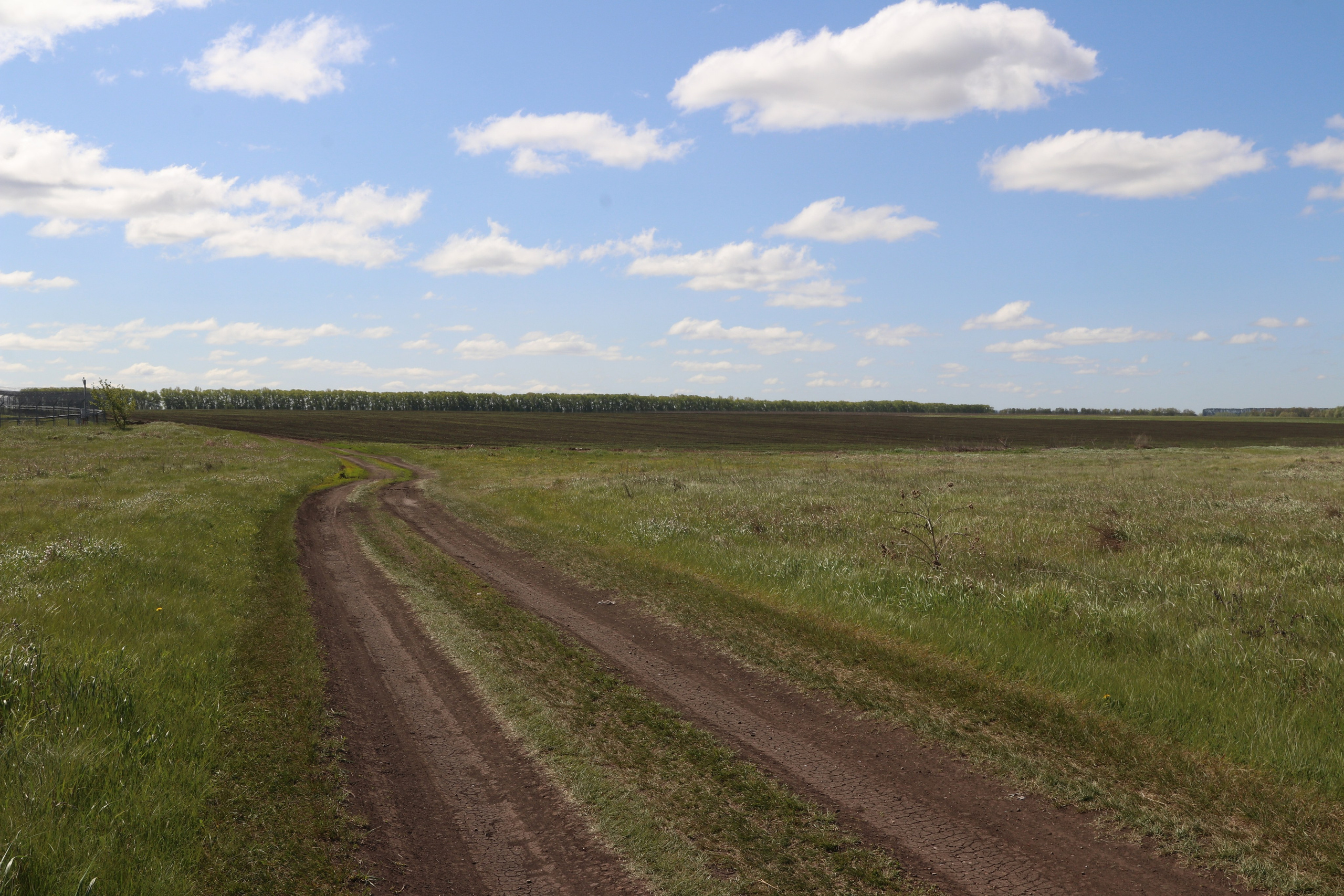 Велопоход Уфа — Мелеуз. Май 2024. Путешественник-фотограф из Санкт-Петербурга Татьяна Свистулина