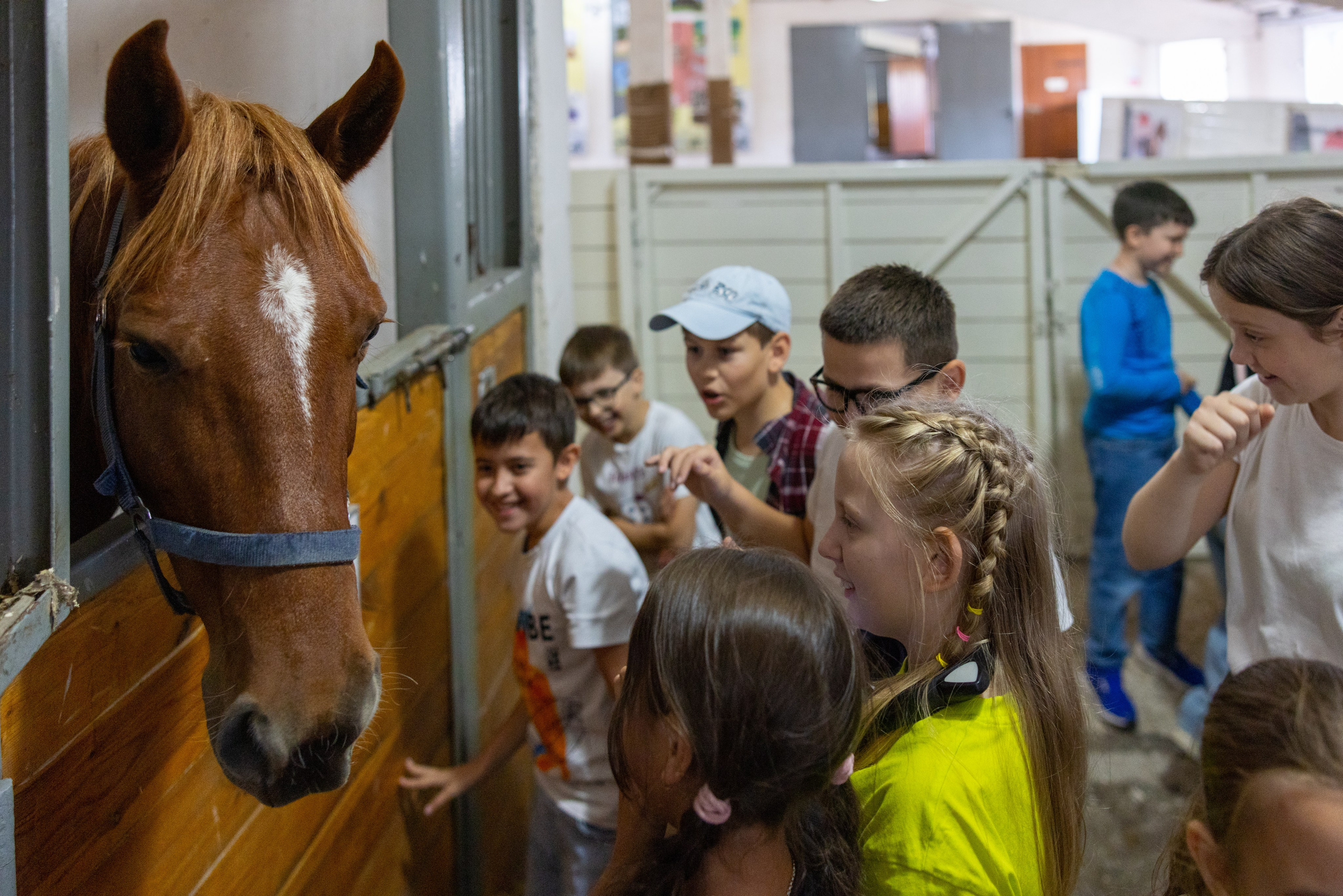 Поездка на поле Кулеково. Фотограф в Туле Крупский АнДРей. Фотостудия «КАДР71» в Туле