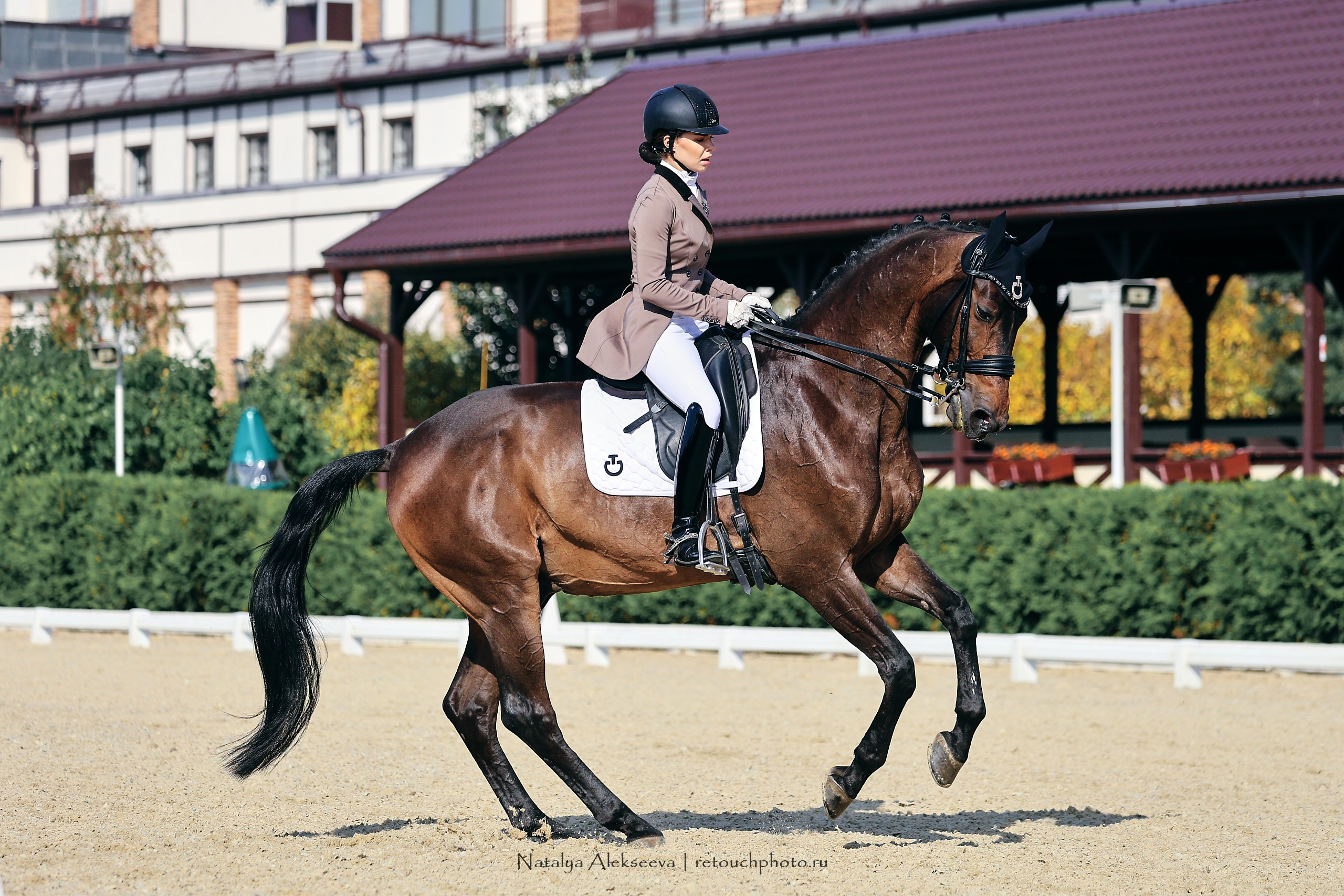 2023.09.22-24 Чемпионат MM Eurasia по средним ездам, Maxima Stables | 09'2023. Репортажный фотограф и ретушер в Москве Наталья Алексеева