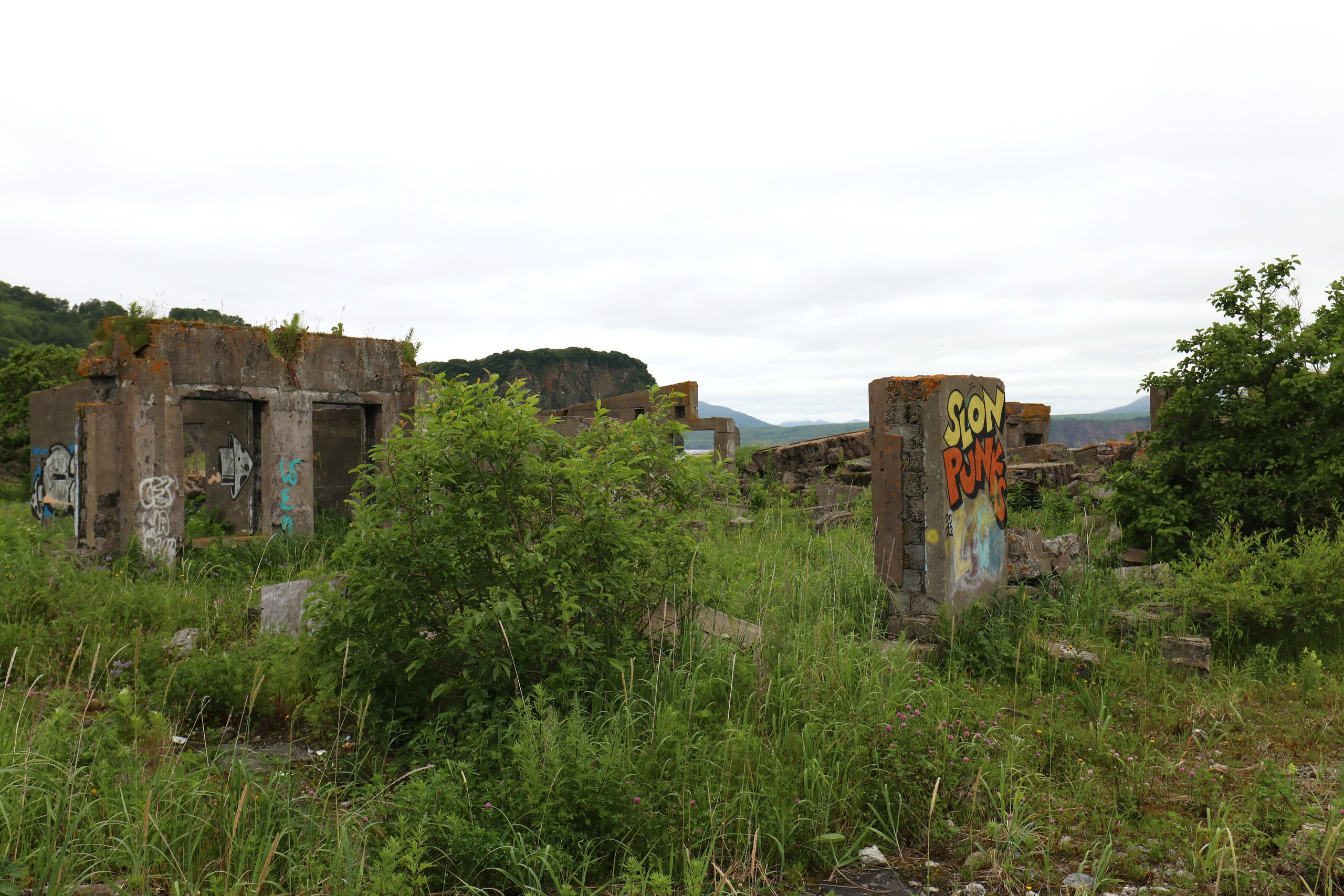 Камчатка и о. Парамушир. Июль 2024. Путешественник-фотограф из Санкт-Петербурга Татьяна Свистулина