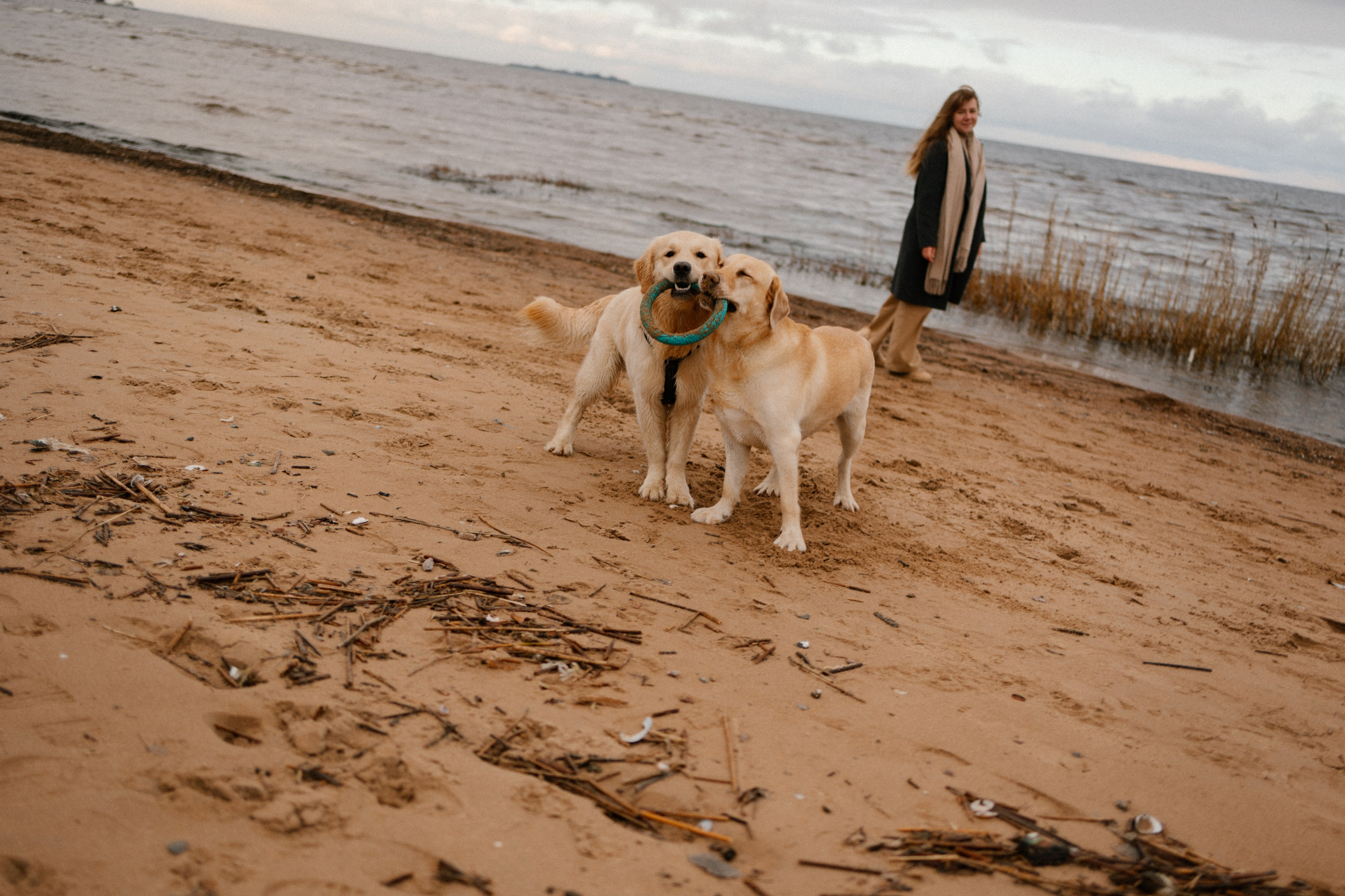 Ирина и Бася. Фотограф — Анималист | Санкт-Петербург