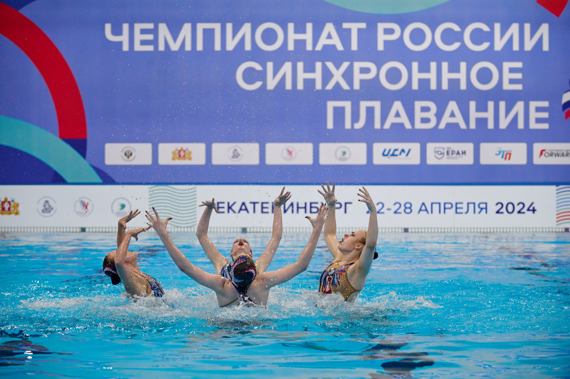 Чемпионат России Синхронное плавание 2024. Мезенцев Евгений фотограф