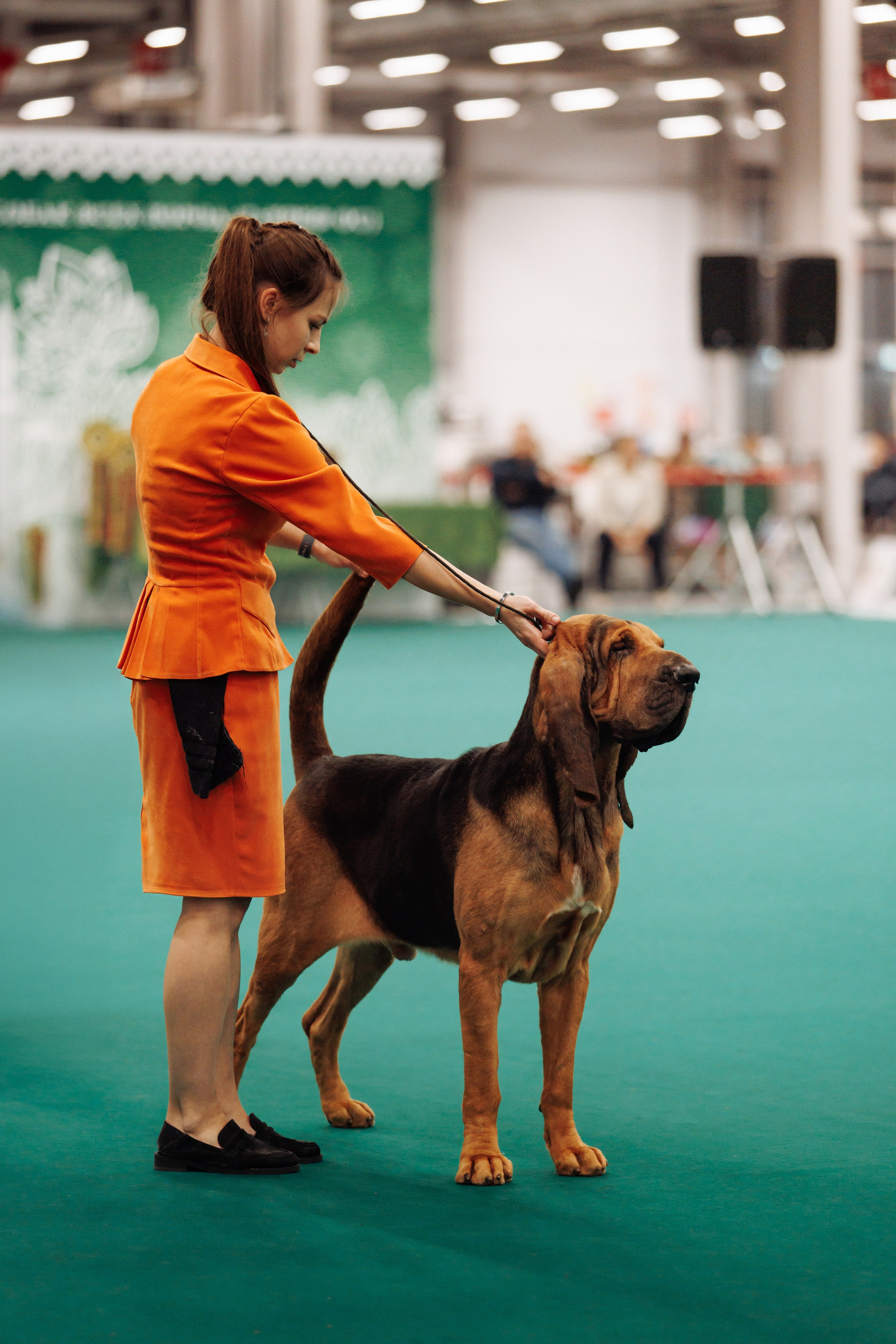 29-30.11.2025 — Казань «Зилант». Фотограф-анималист Саша Вязьмина