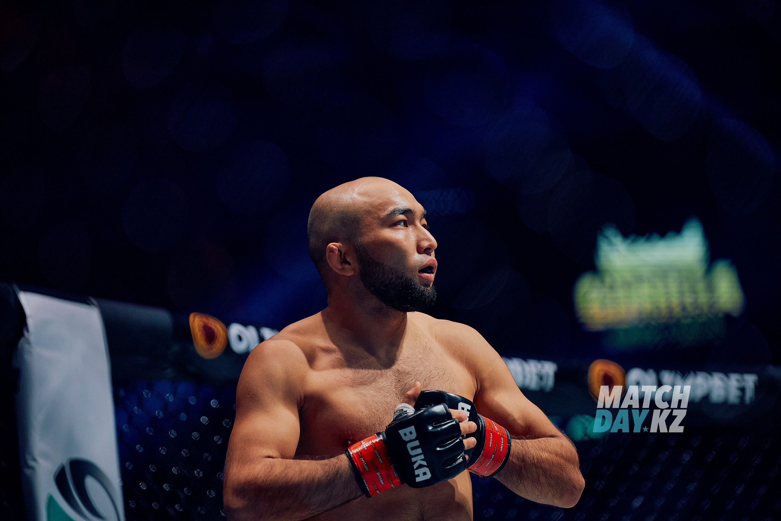 Naiza MMA (Astana) 6 December 2023. Professional photo & Event agency (Kazakhstan, Astana)