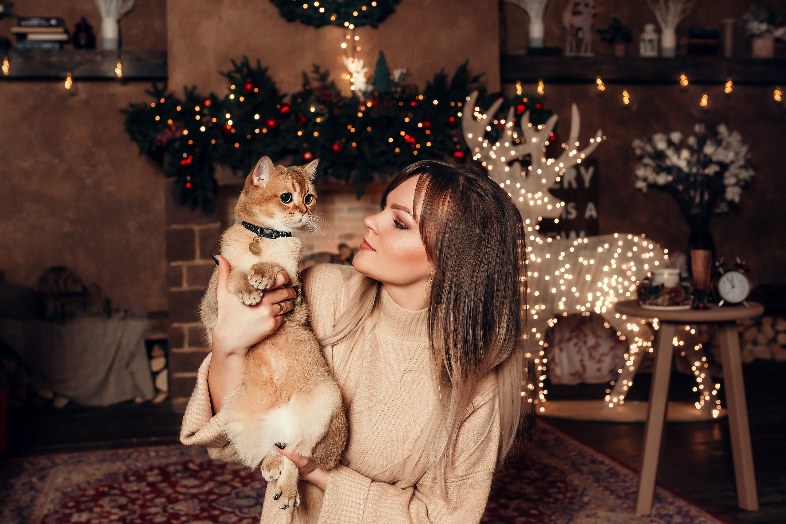 Новогодняя с котиком, студия Beverly Hills. Фотограф в Санкт- Петербурге Мария Золотарь