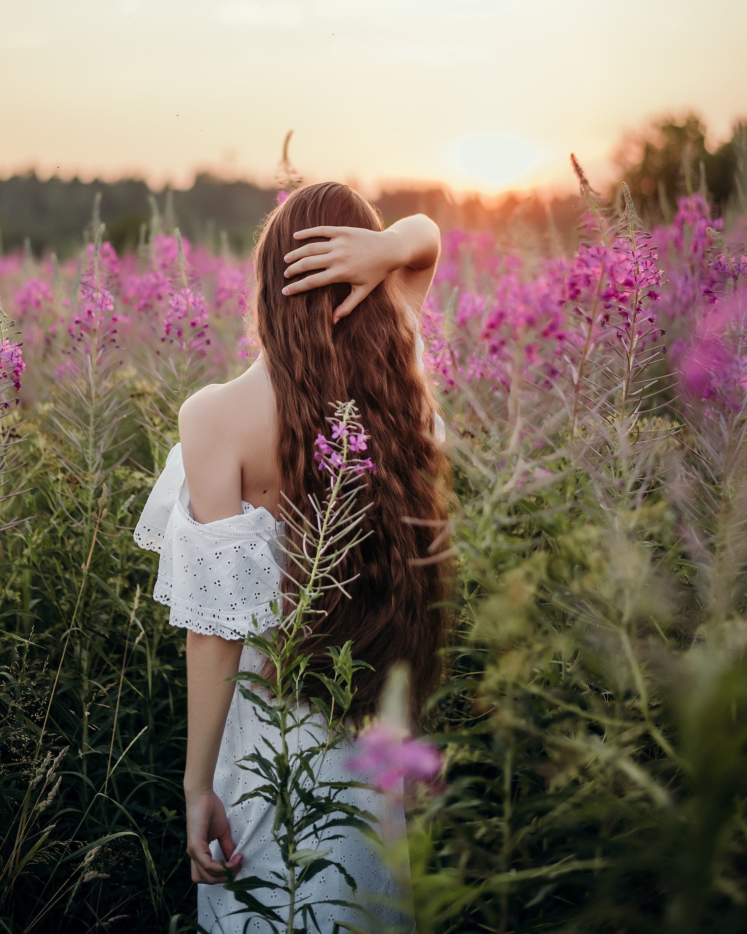 Эмилия, поле иван-чая и ромашек. Фотограф в Санкт- Петербурге Мария Золотарь