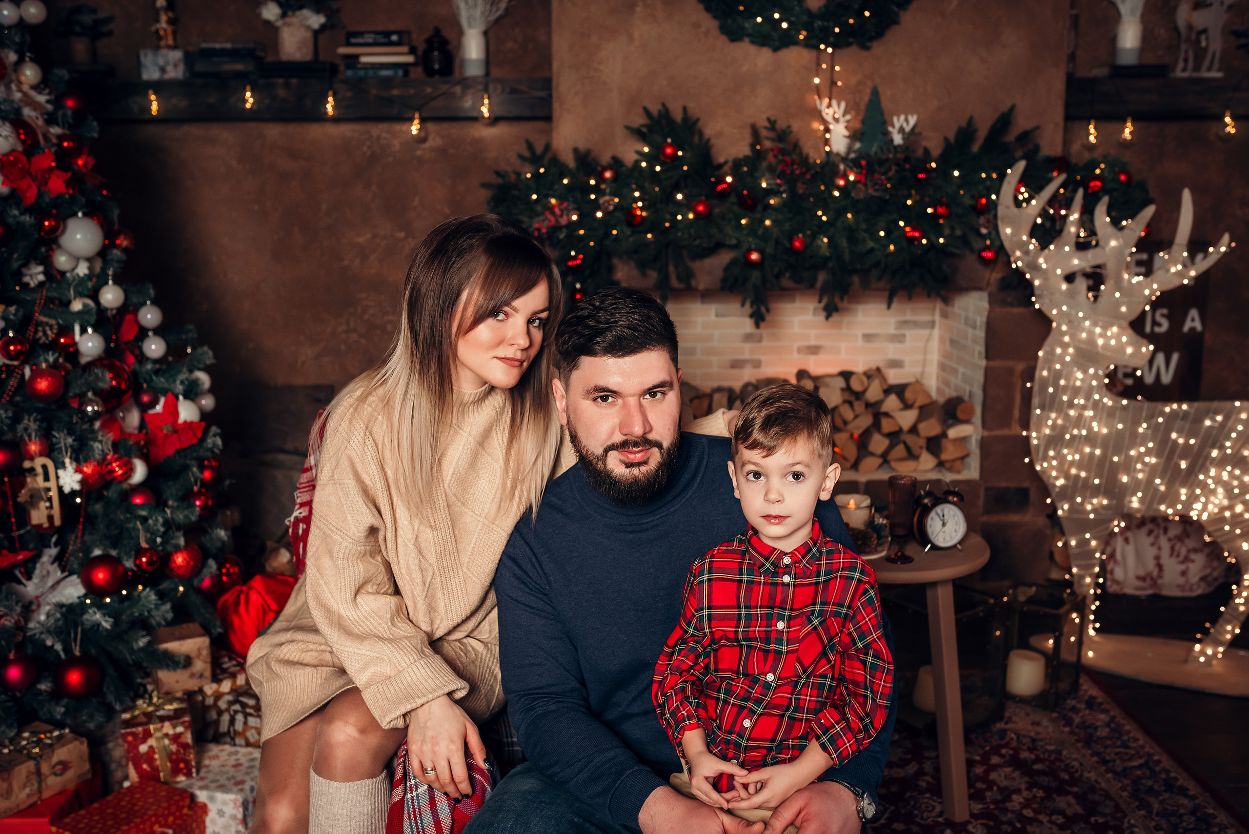 Новогодняя с котиком, студия Beverly Hills. Фотограф в Санкт- Петербурге Мария Золотарь