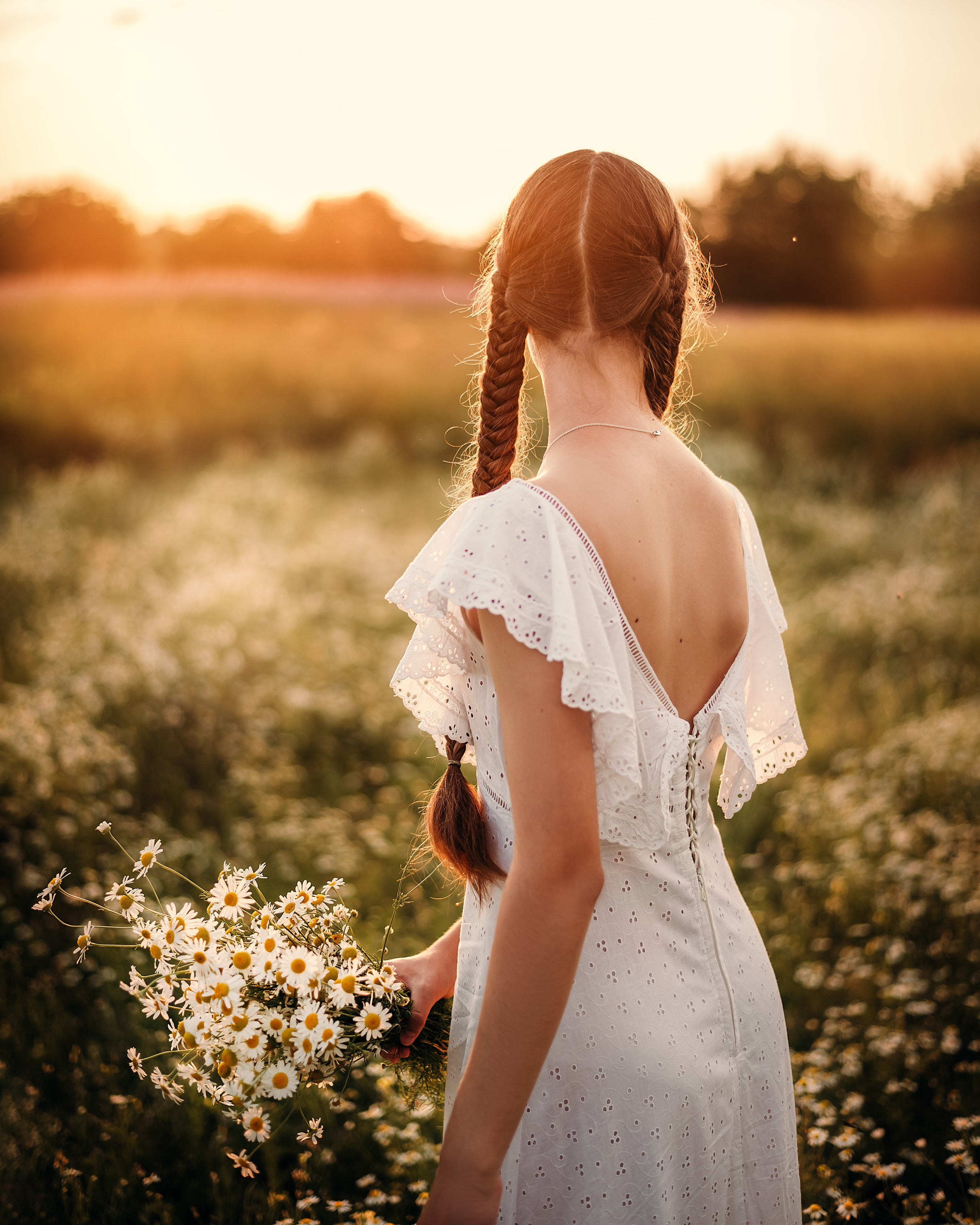 Эмилия, поле иван-чая и ромашек. Фотограф в Санкт- Петербурге Мария Золотарь